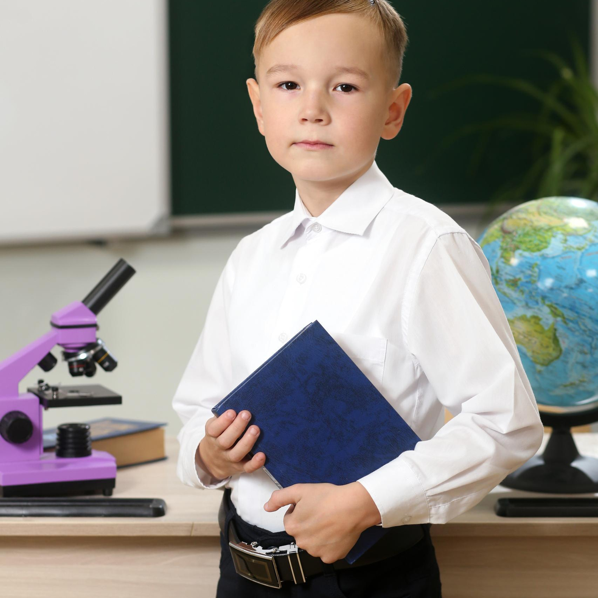 Отзывы. BAMbook