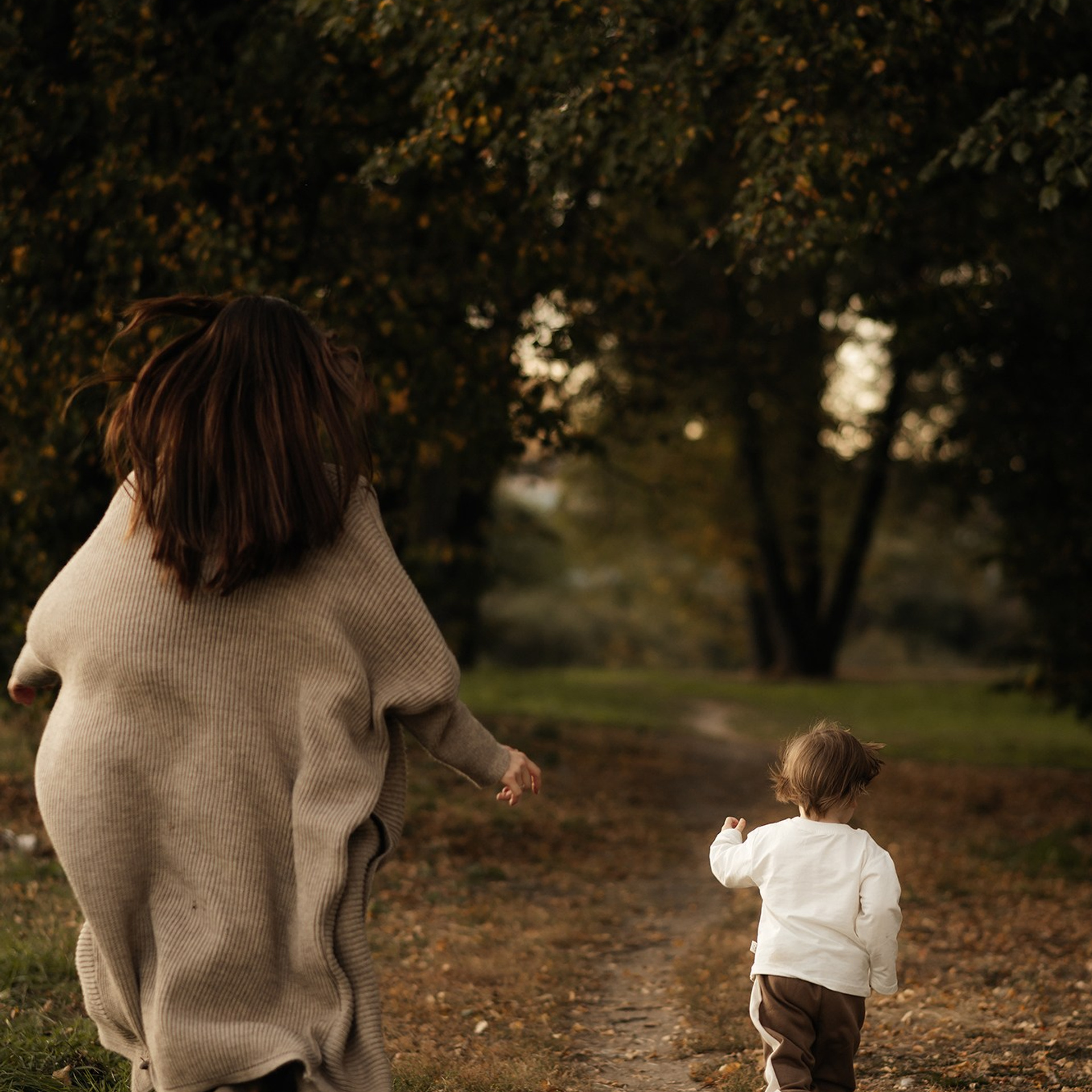 Осенний вечер