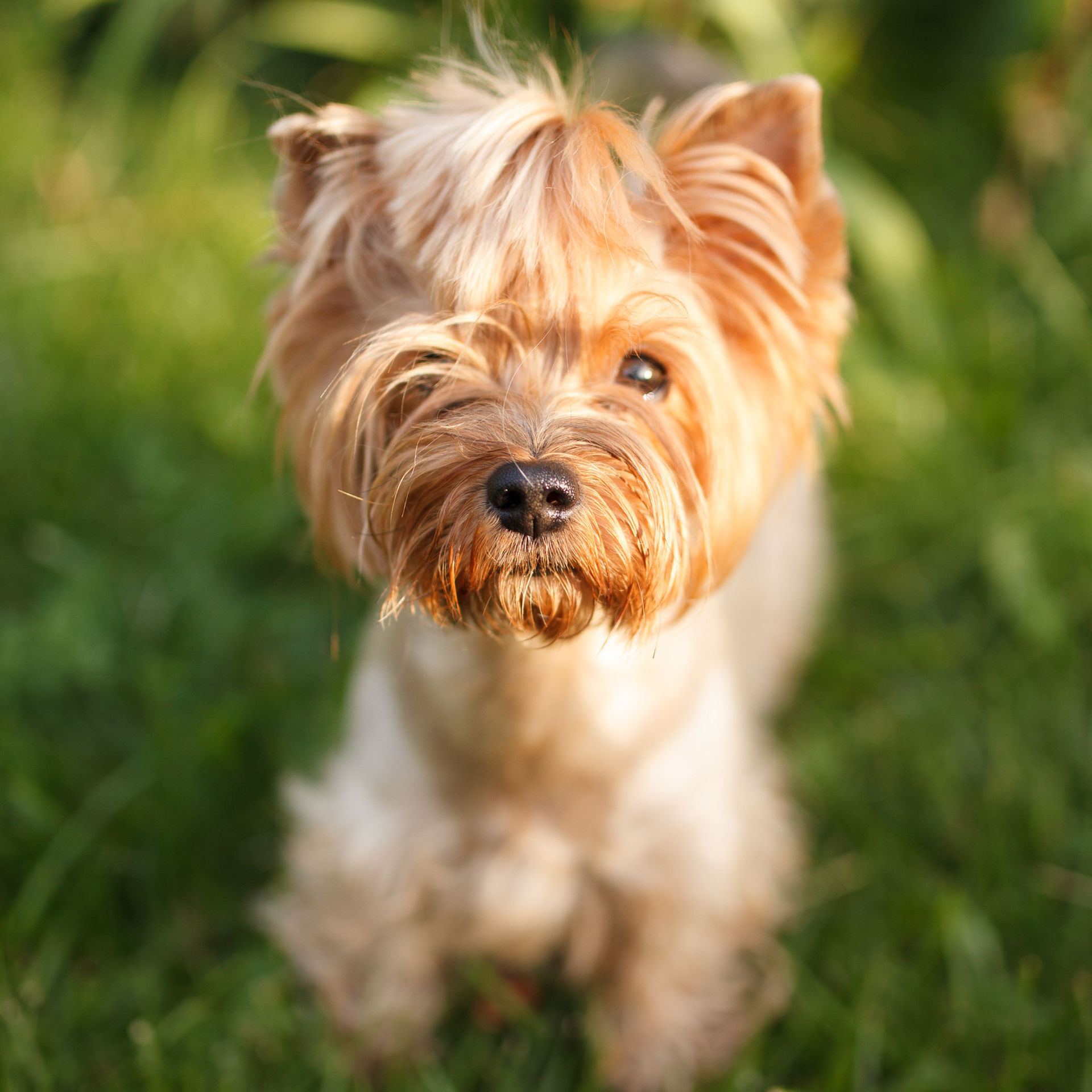 Отзывы. Портретный фотограф Москва Эльвира Болдырева