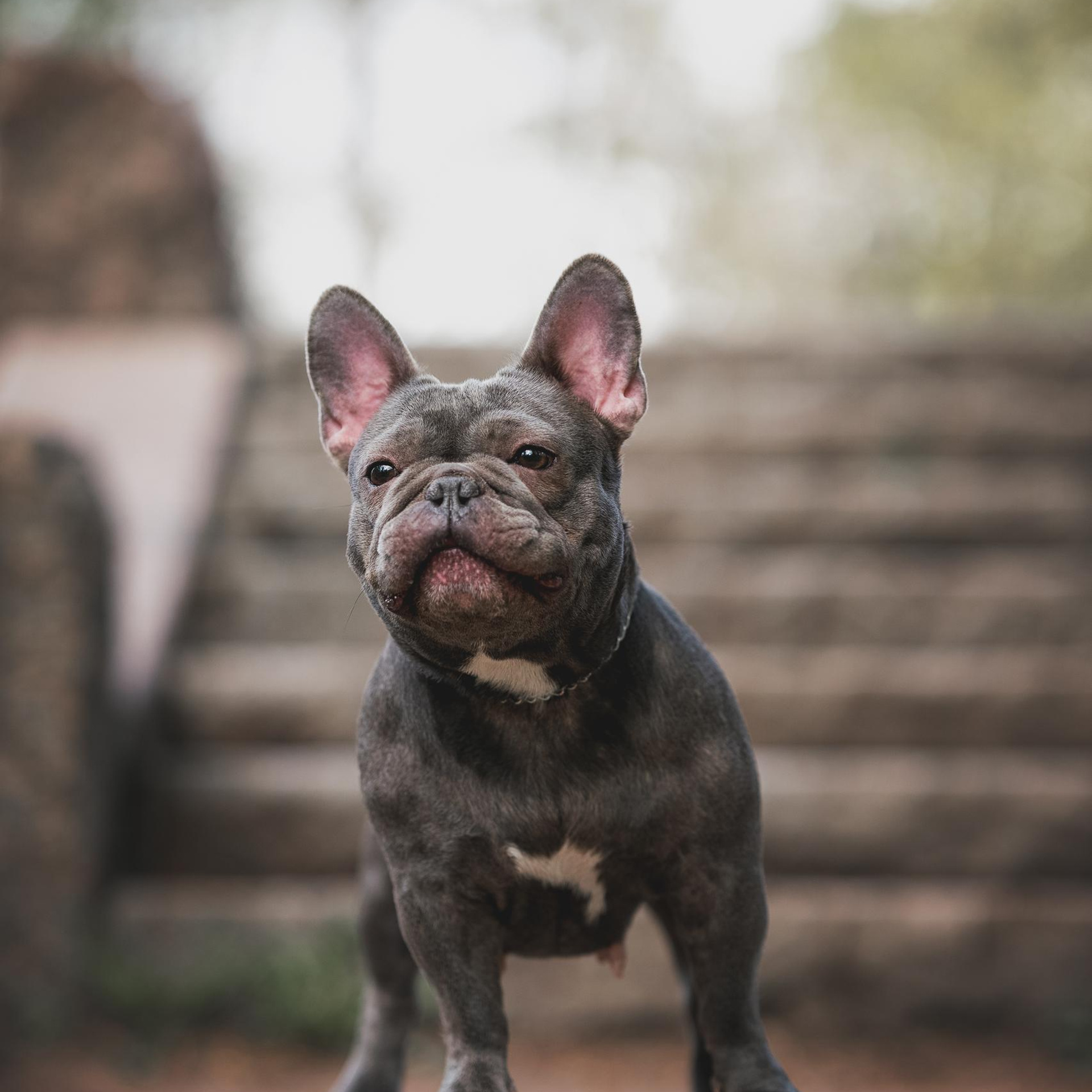 Отзывы. Фотограф анималист Осипчикова Мария