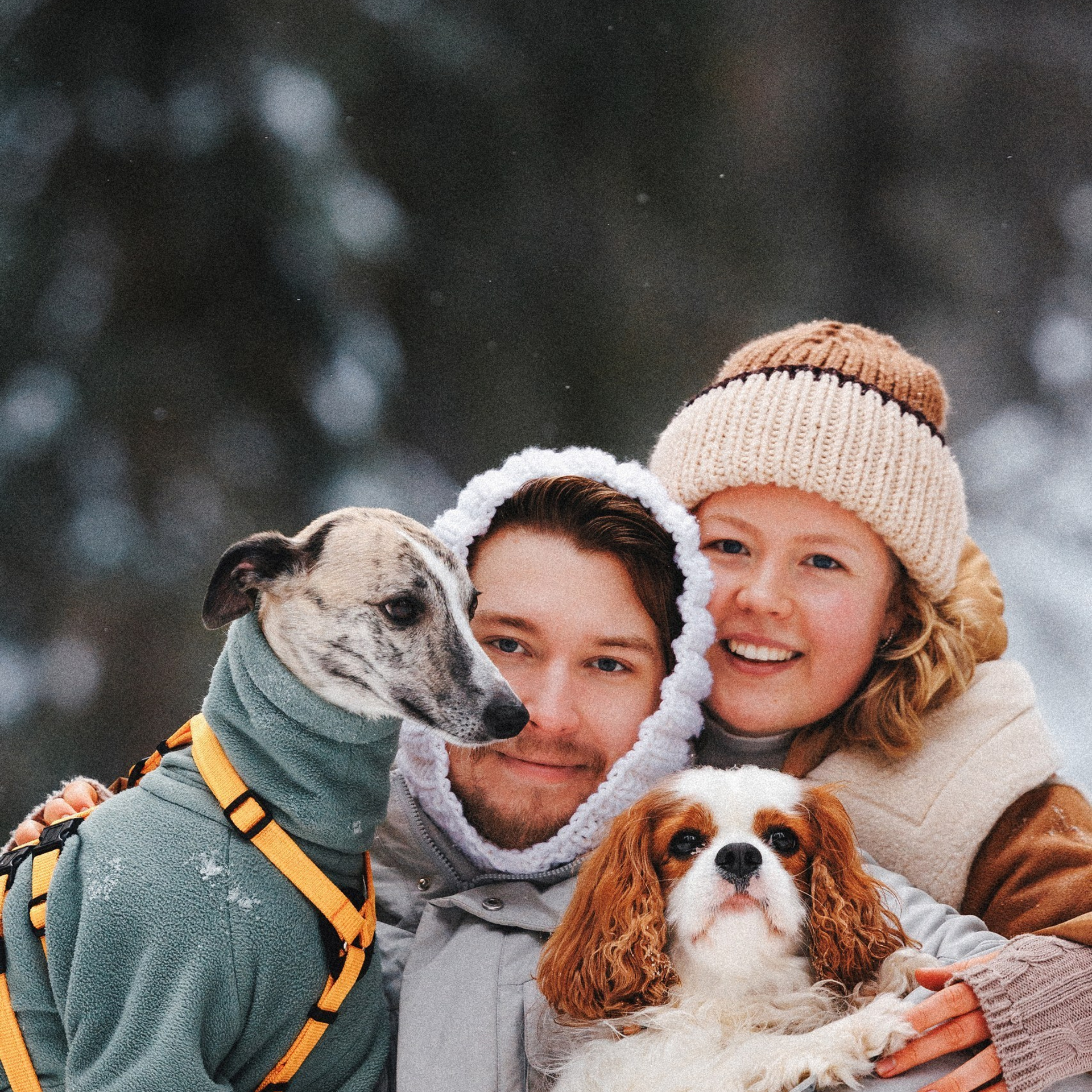 Отзывы. Фотограф анималист Осипчикова Мария