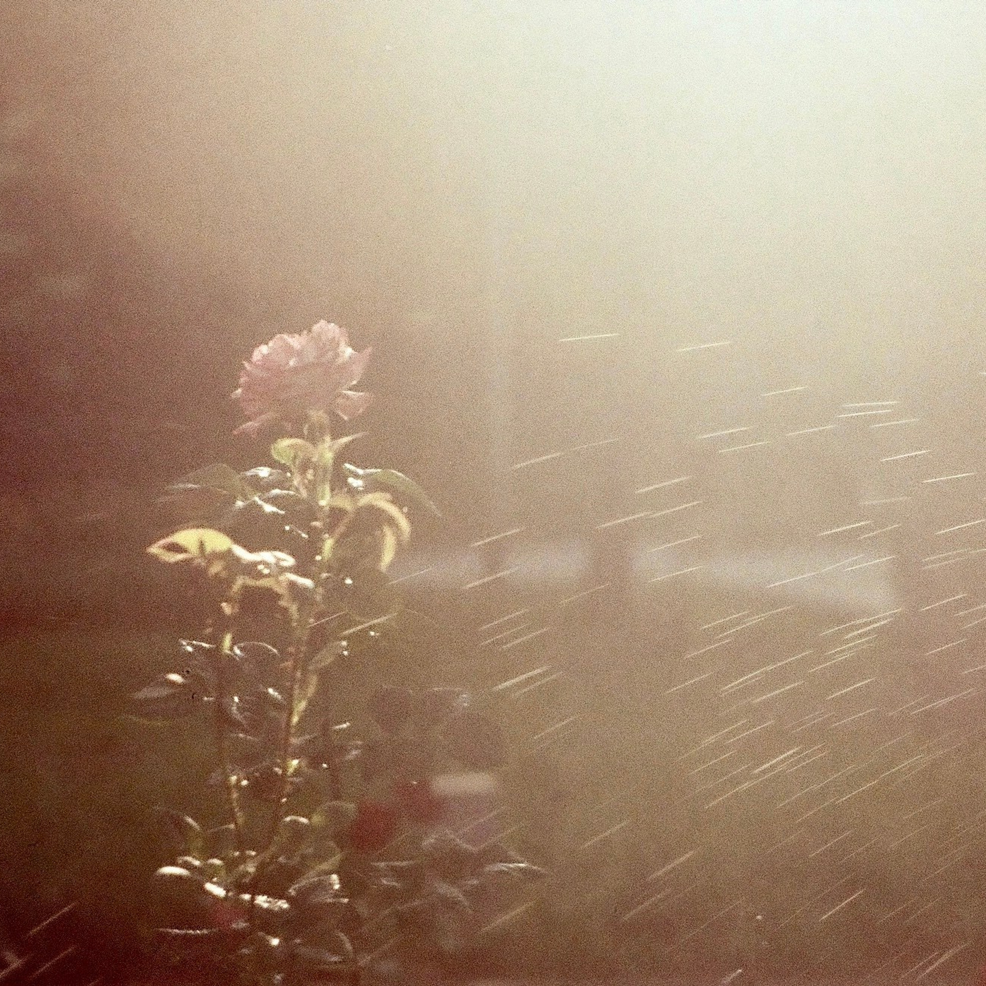 Фото-истории фотографа Елизаветы Хлусовой. ElizabetArt — фотограф в Воронеже Елизавета Хлусова