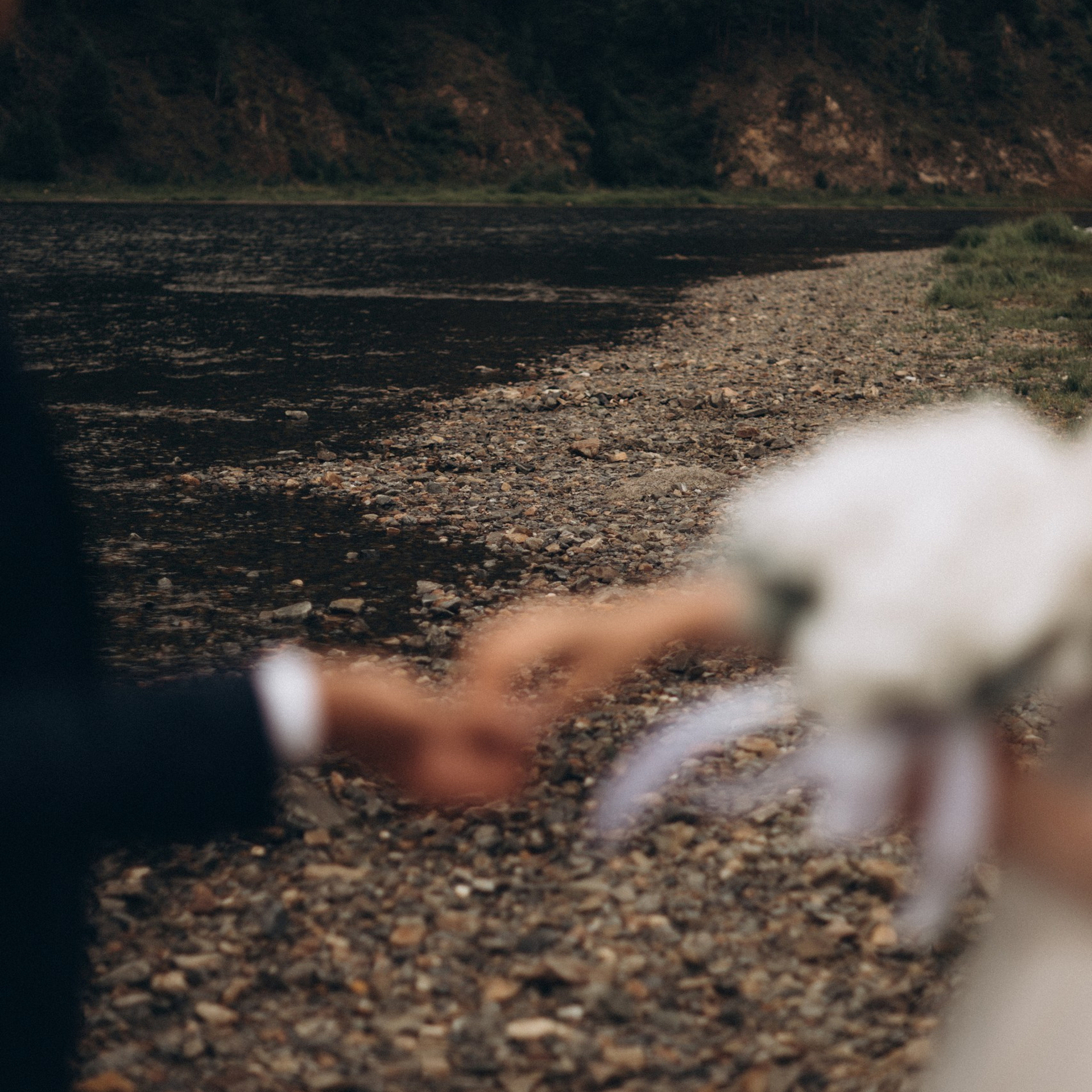 Владимир и Анастасия