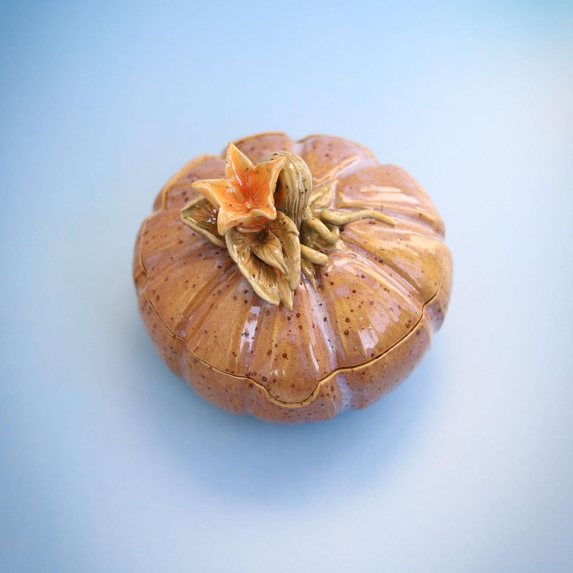 Архив/Нашли свой дом