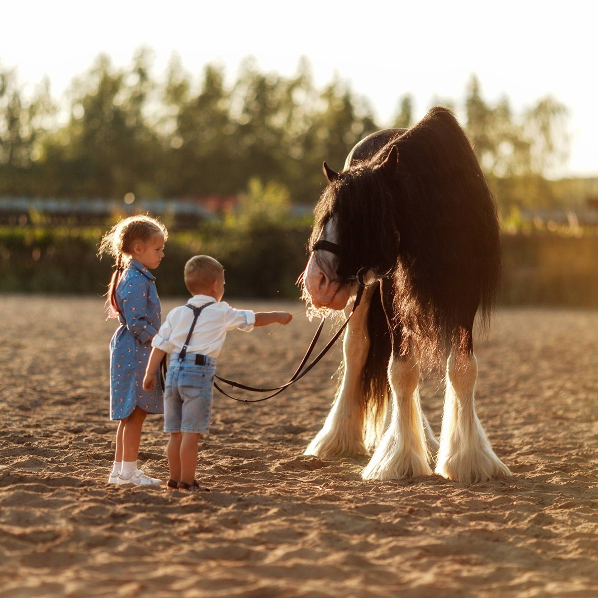 Детская фотосессия с лошадью