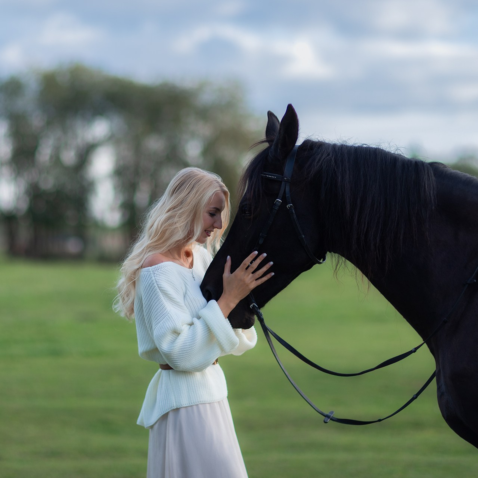 Фотосессия с лошадью в поле