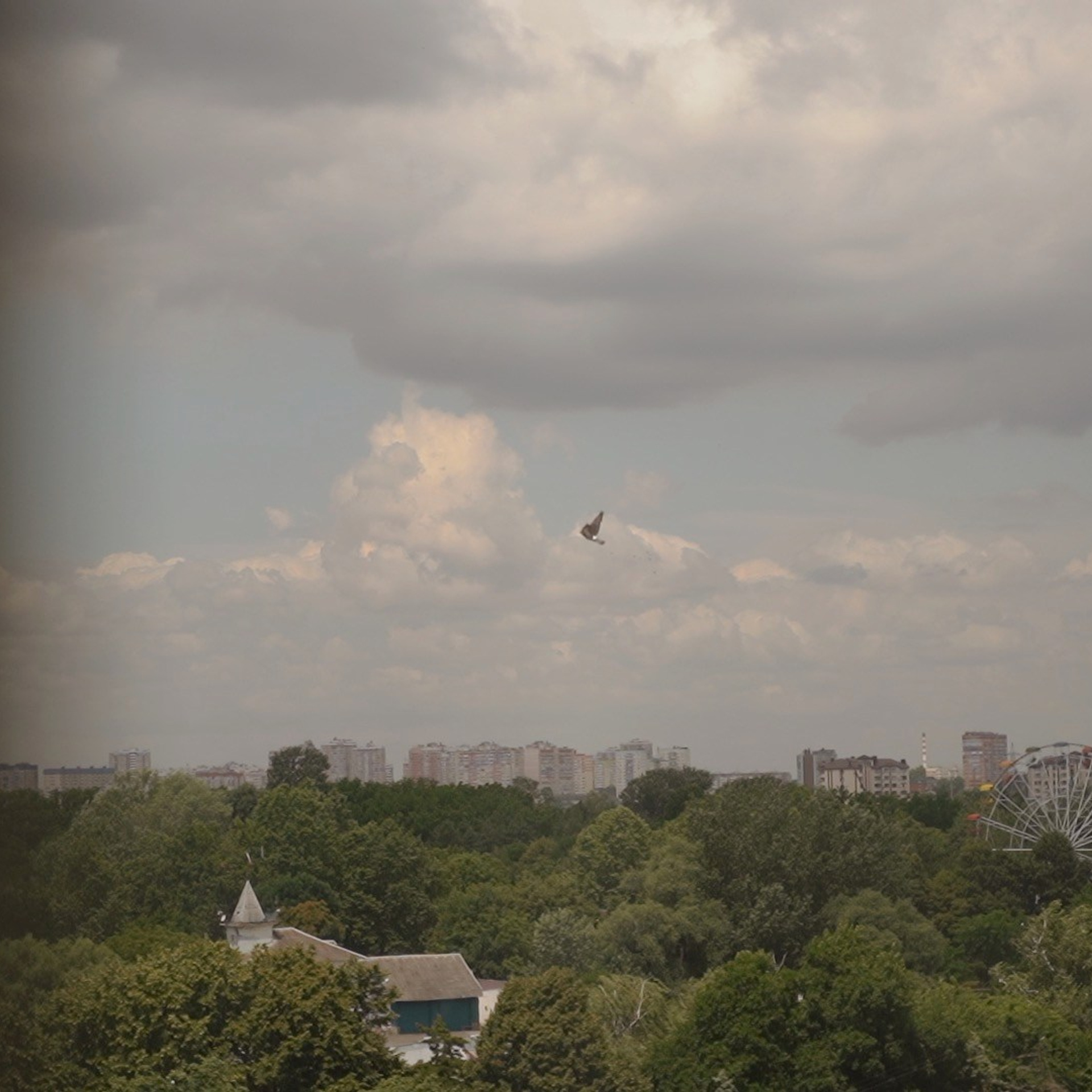 Виктория и Влад. Агата Акварель видеограф Сочи Краснодар