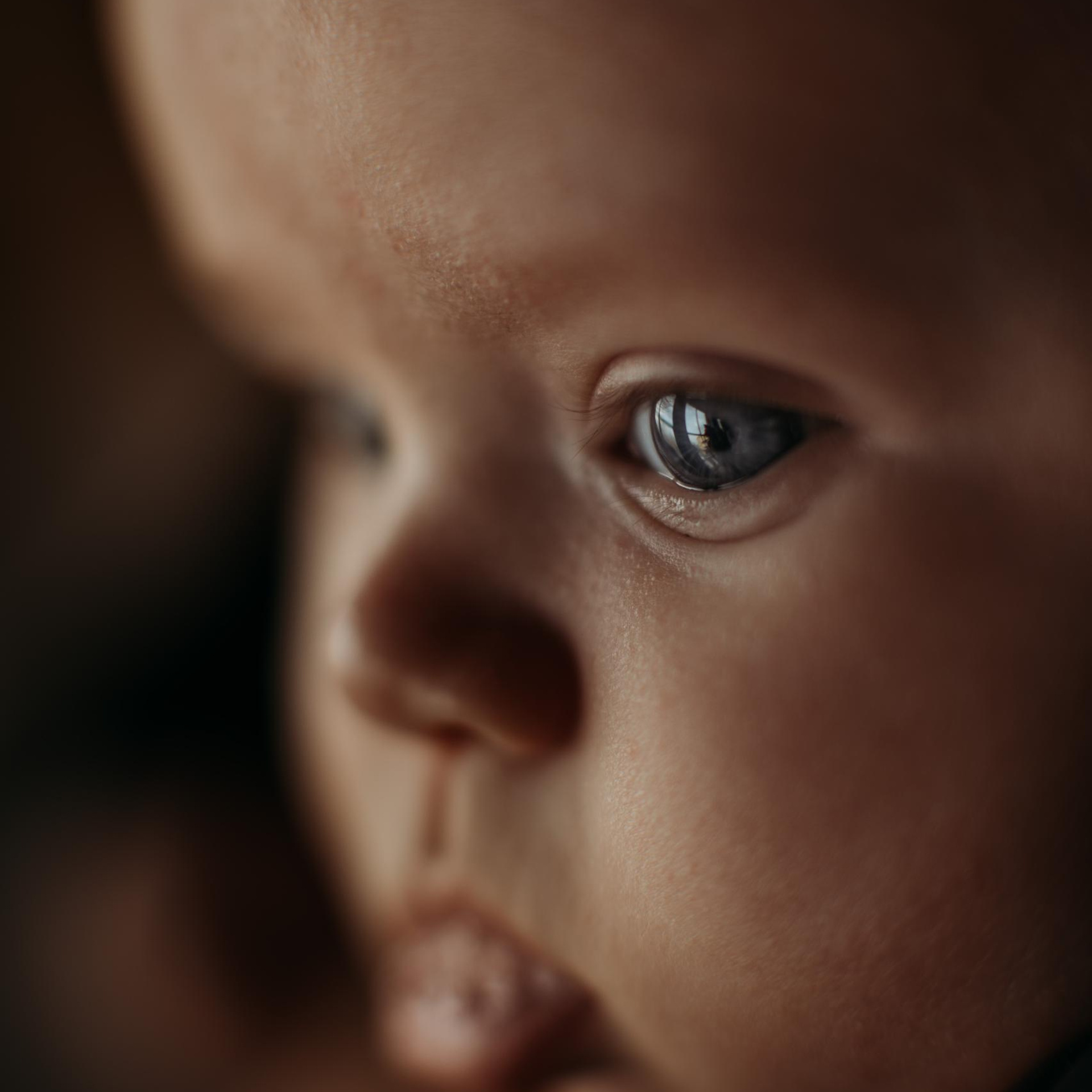 Ищу фотографа. Любовь Кузнецова — семейный и детский фотограф в Москве