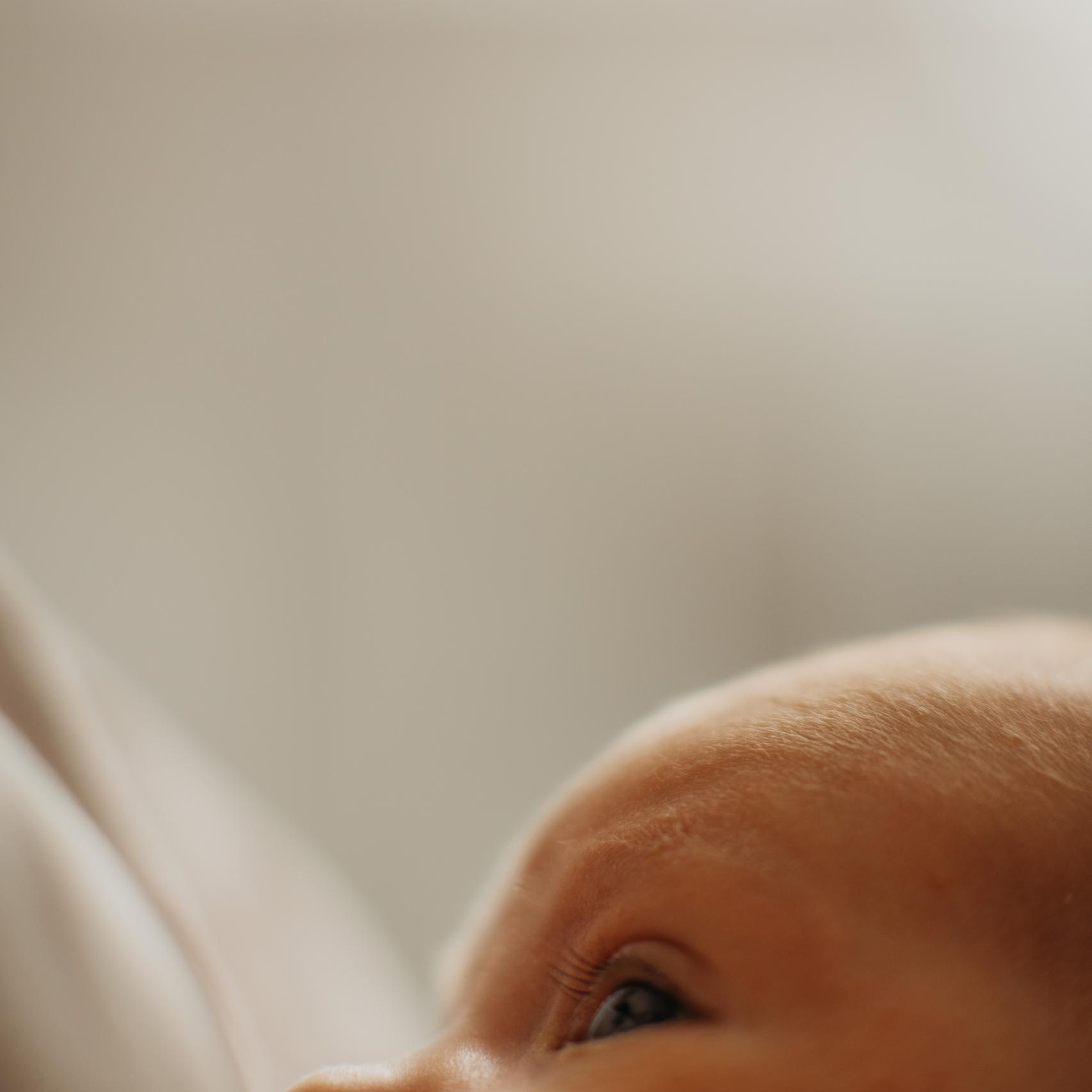 Ищу фотографа. Любовь Кузнецова — семейный и детский фотограф в Москве