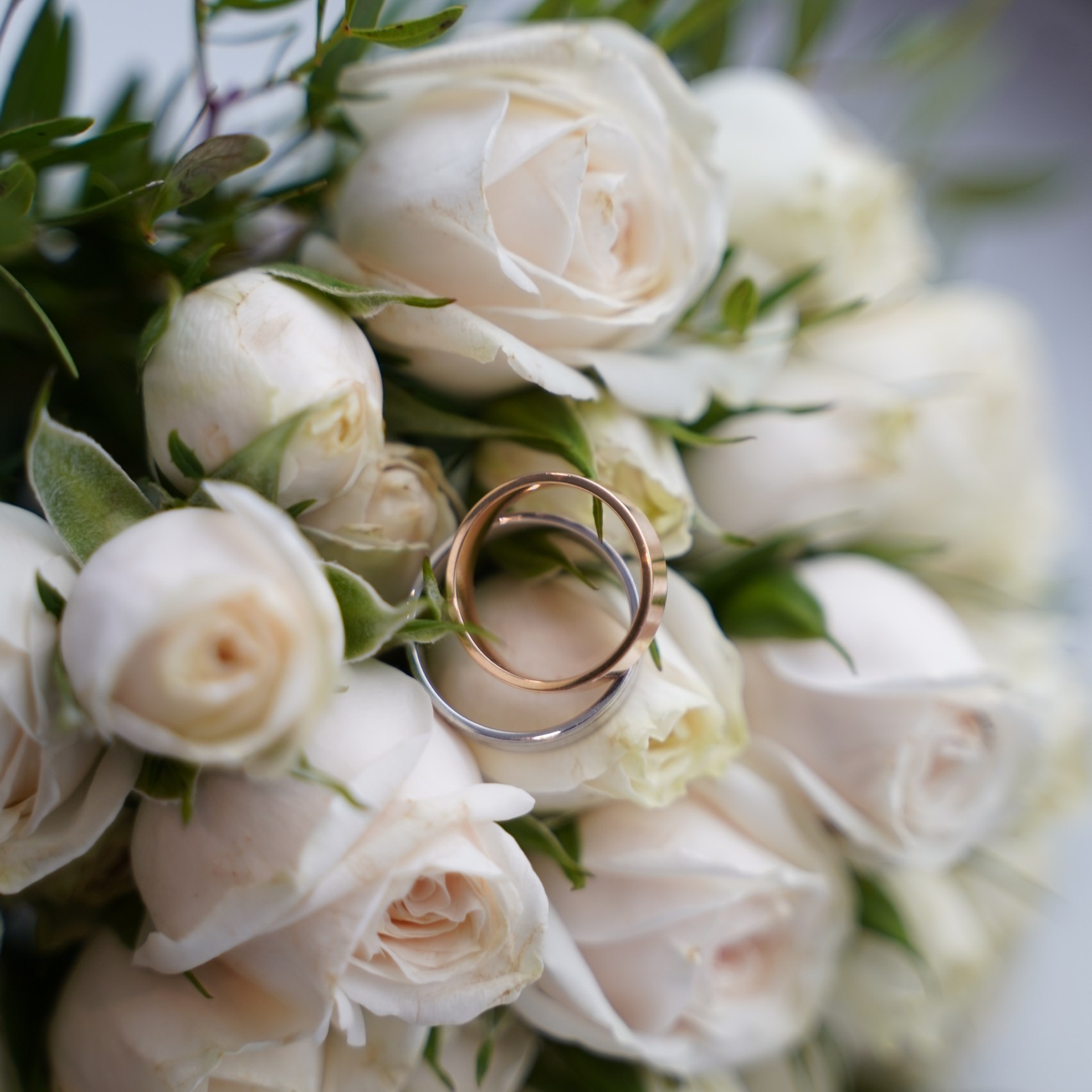 Отзывы. Фотограф в Санкт-Петербурге Ковалевская Ева