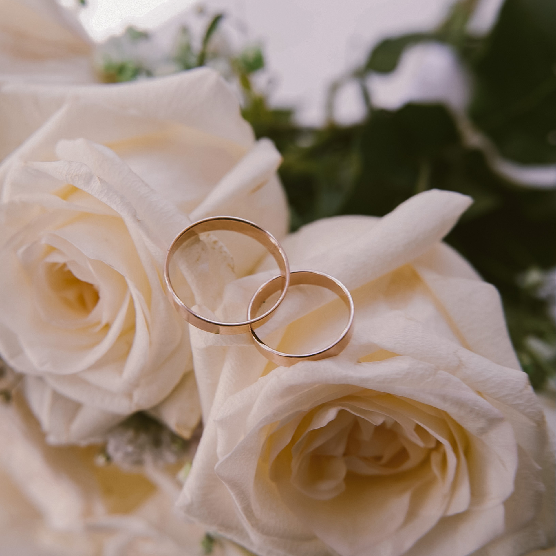 Отзывы. Фотограф в Санкт-Петербурге Ковалевская Ева