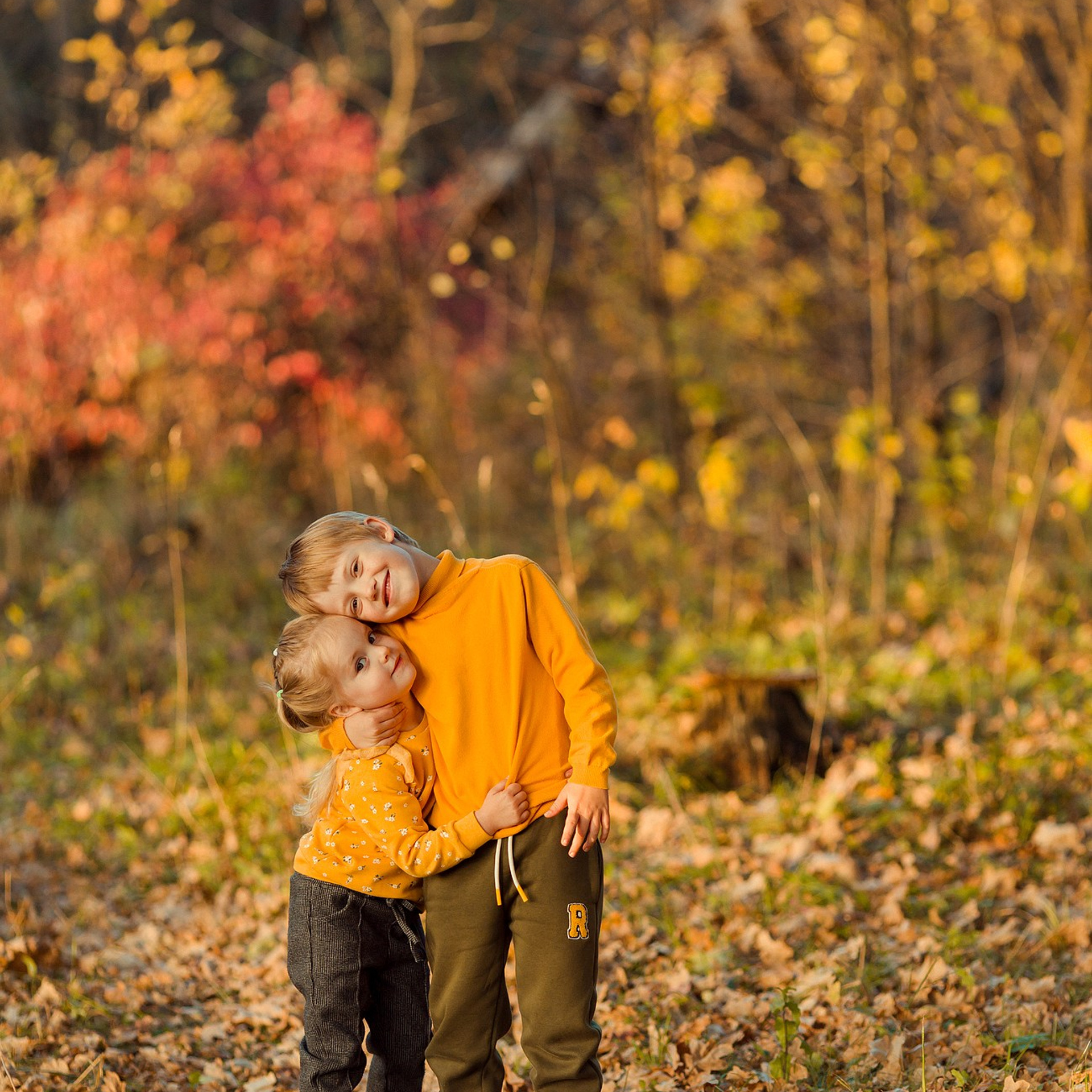 Осень в лесу