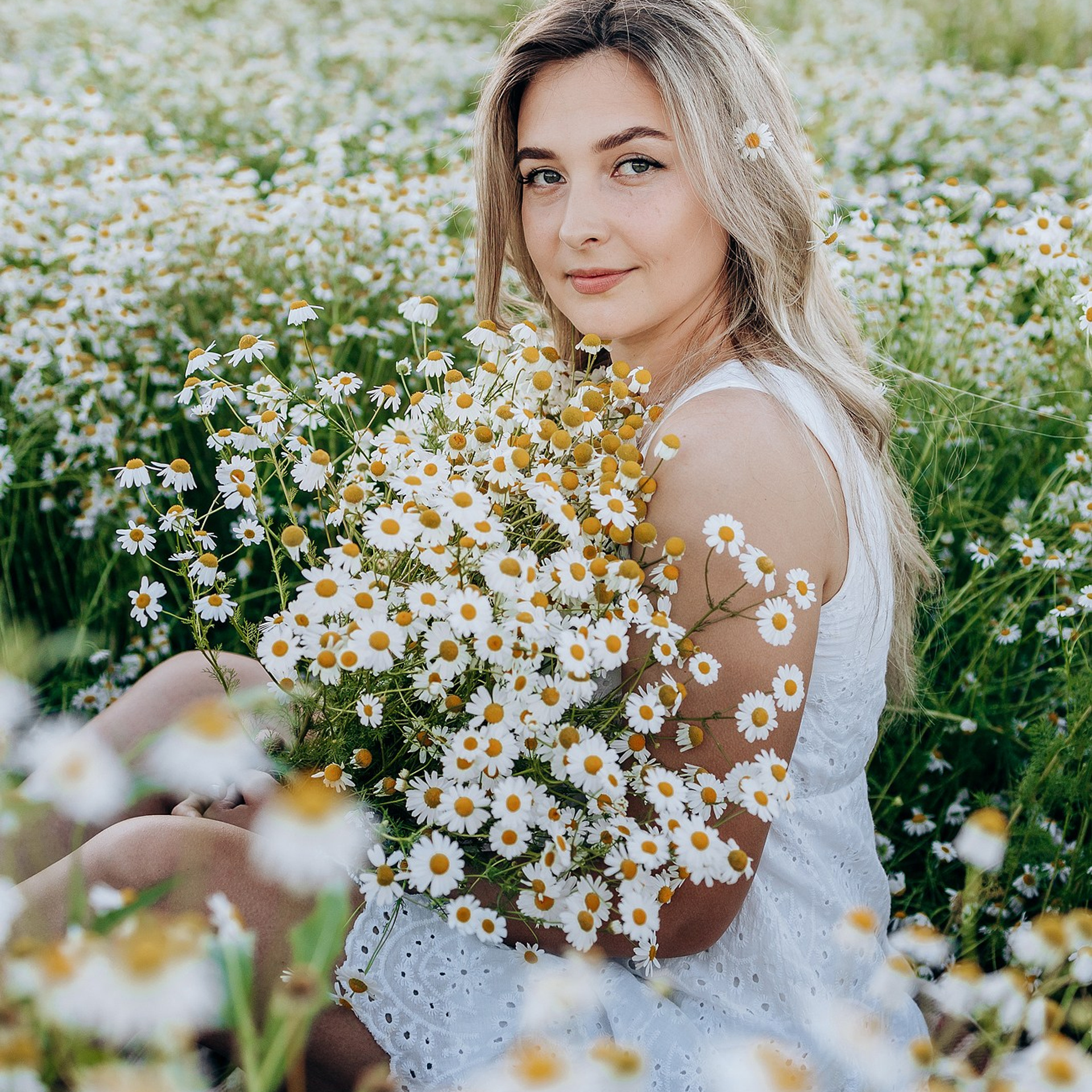 Елена в ромашковом поле