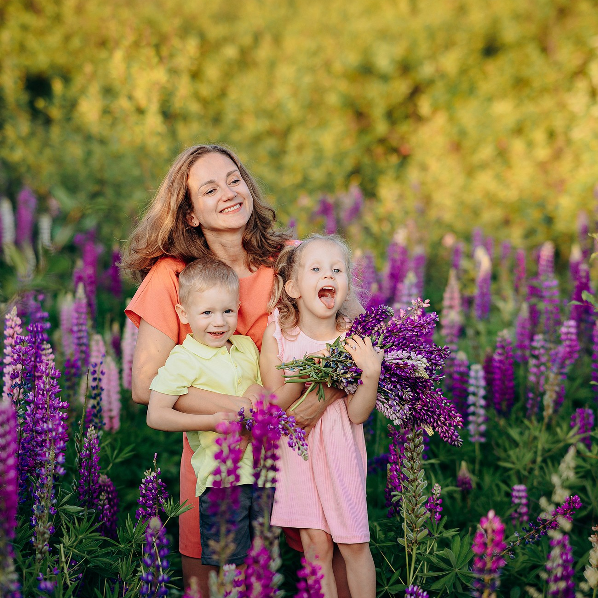 Прогулка в люпиновом поле