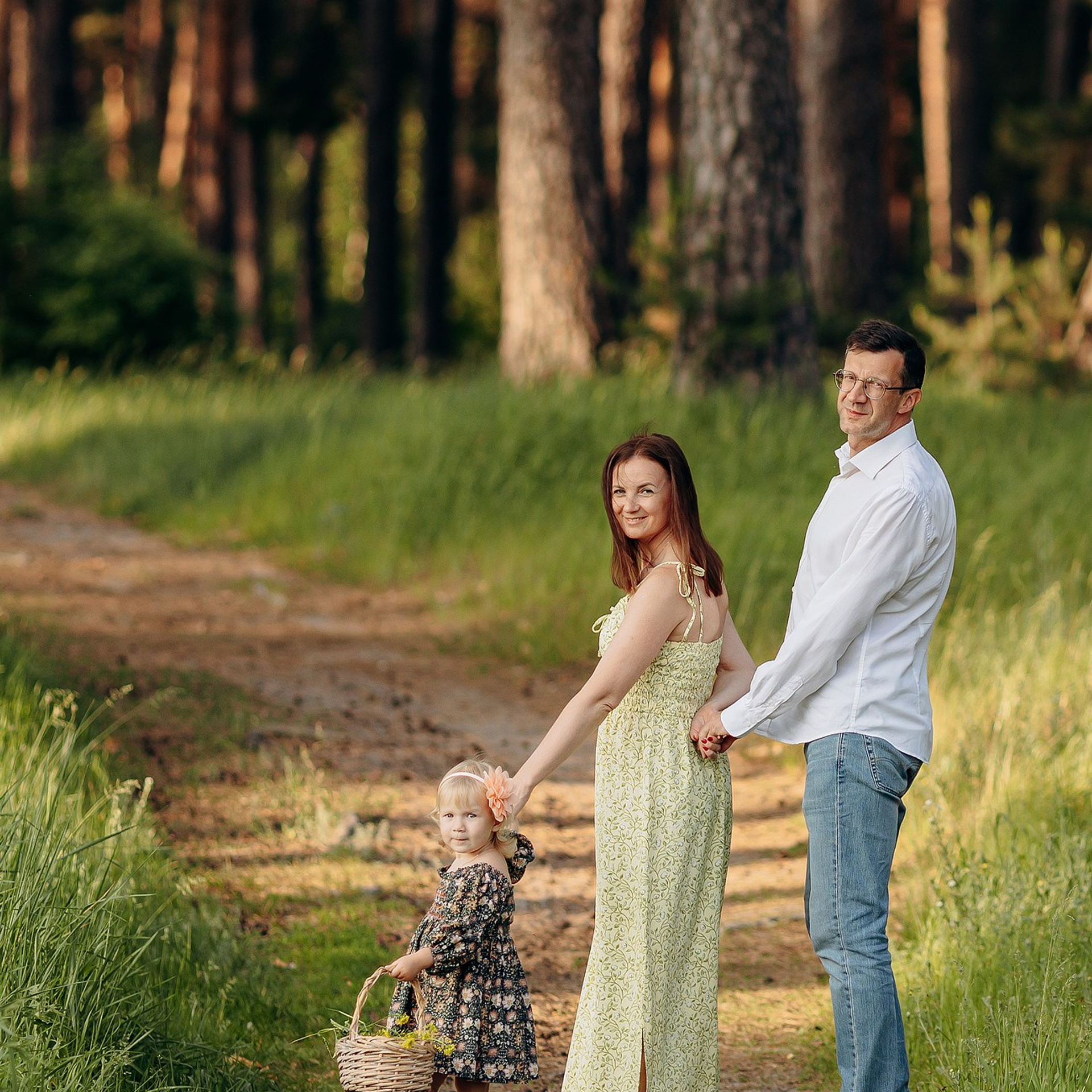 Летний вечер в сосновом лесу