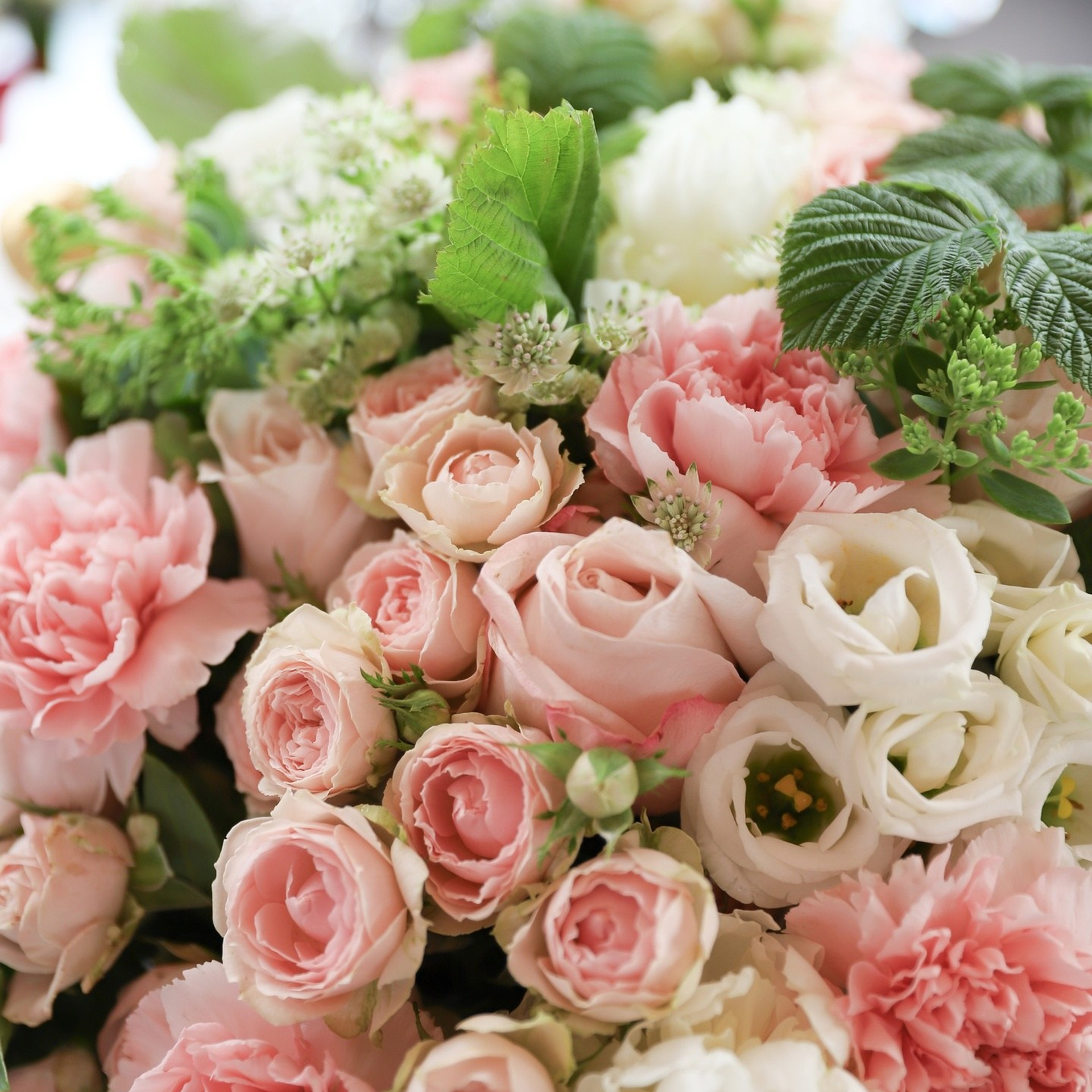 Дом 2: Юлия Ефременкова — Гендер пати в 2022 году. ФОТОГРАФ ОКСАНА БРЭДШОУ