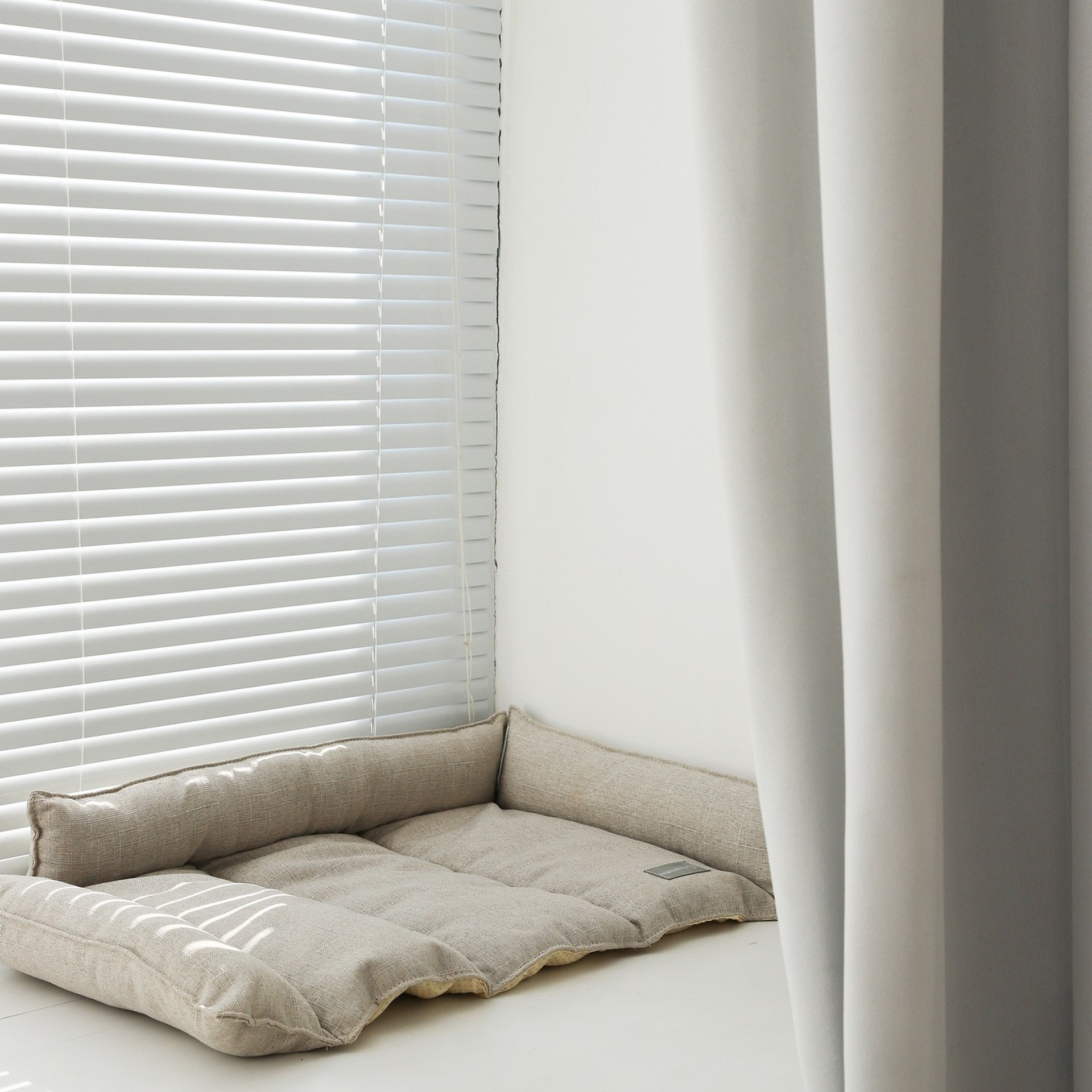 Лежак для кошек. ФОТОГРАФ ОКСАНА БРЭДШОУ