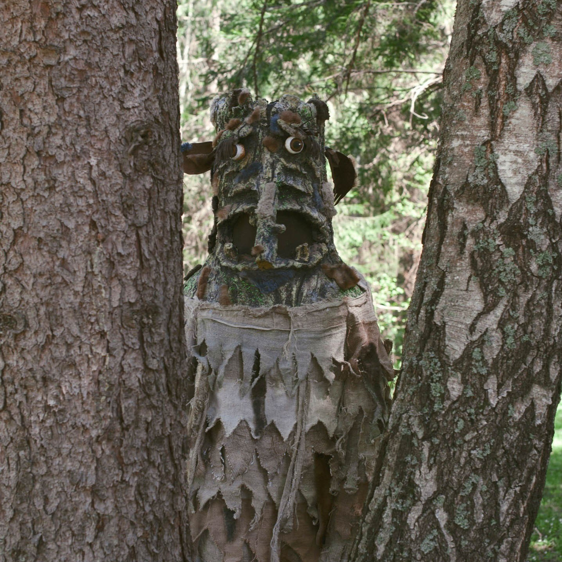 Сказка в лесу (май 2018). ФОТОГРАФ ОКСАНА БРЭДШОУ