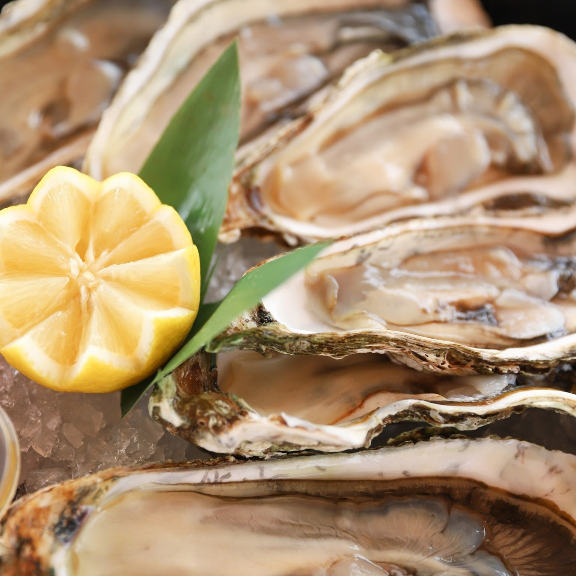 Дом 2: Юлия Ефременкова — Гендер пати в 2022 году. ФОТОГРАФ ОКСАНА БРЭДШОУ