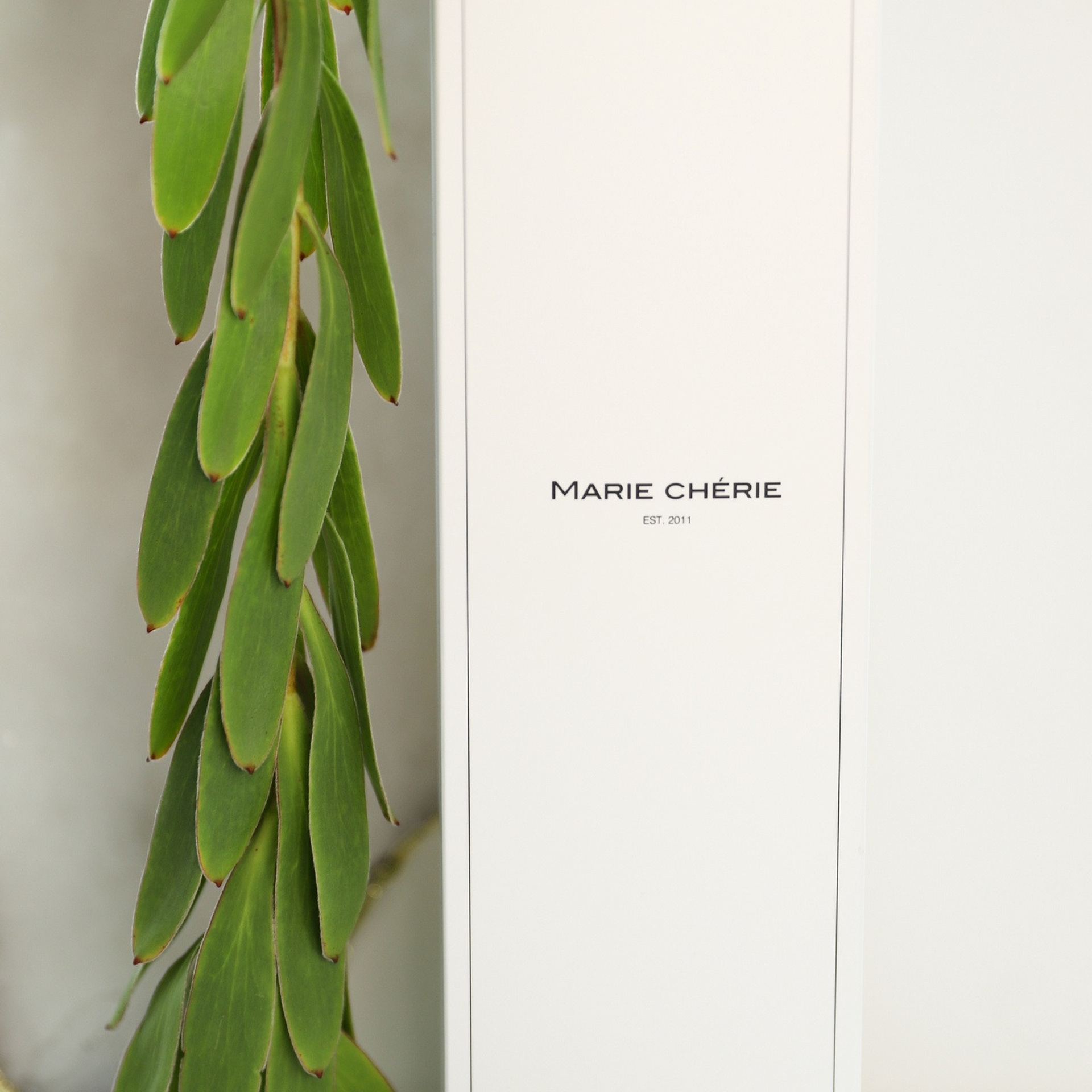 Свечи и спреи. ФОТОГРАФ ОКСАНА БРЭДШОУ