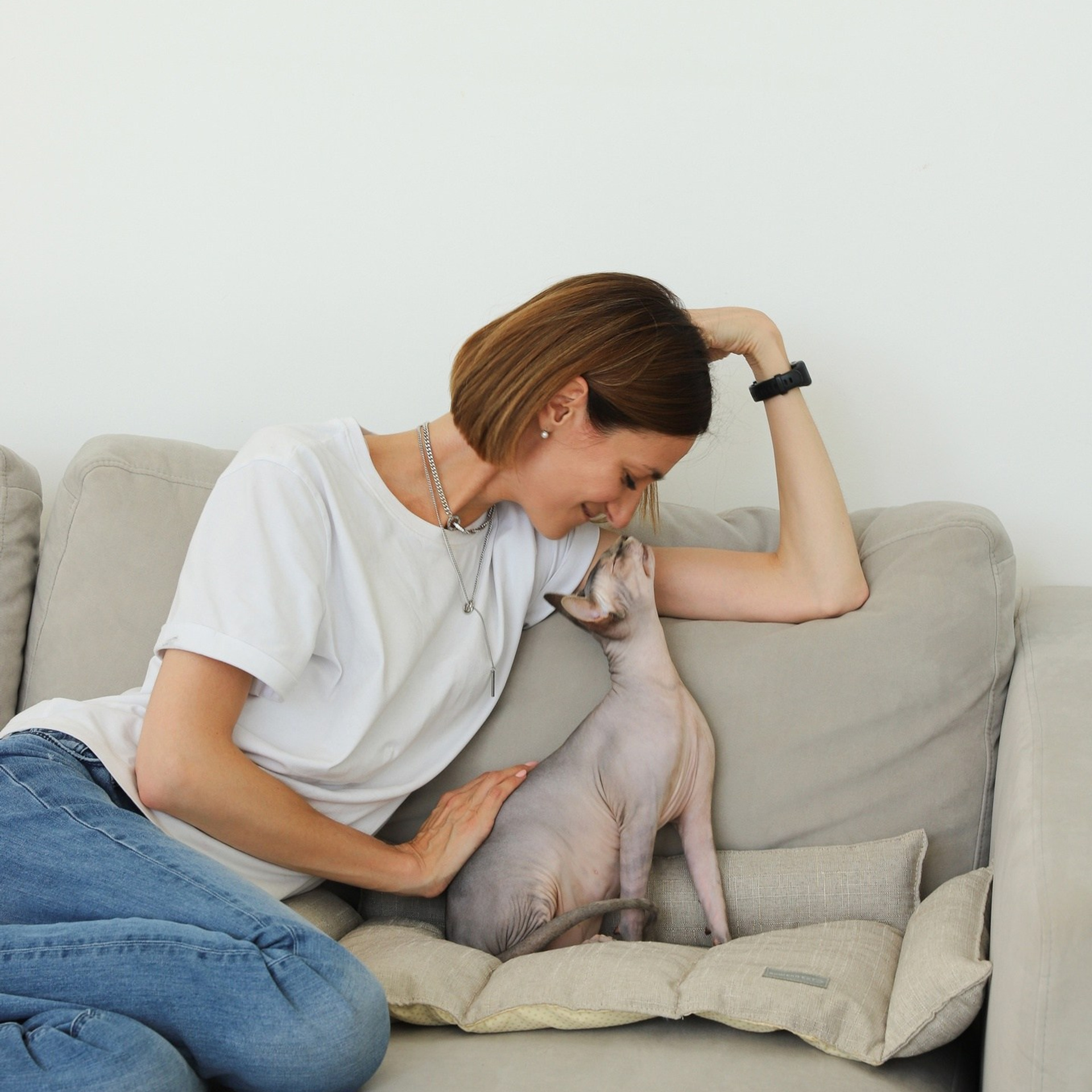 Лежак для кошек. ФОТОГРАФ ОКСАНА БРЭДШОУ