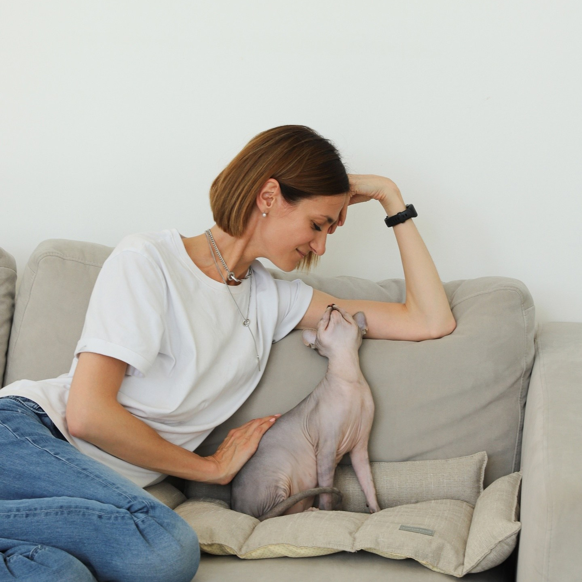 Лежак для кошек. ФОТОГРАФ ОКСАНА БРЭДШОУ