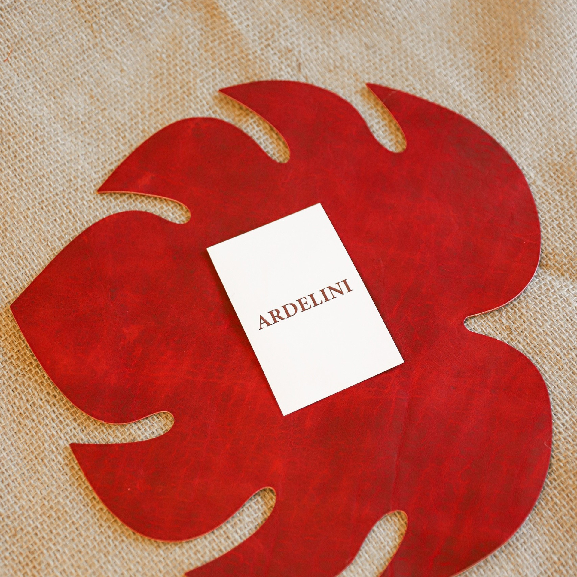 Ardelini. ФОТОГРАФ ОКСАНА БРЭДШОУ