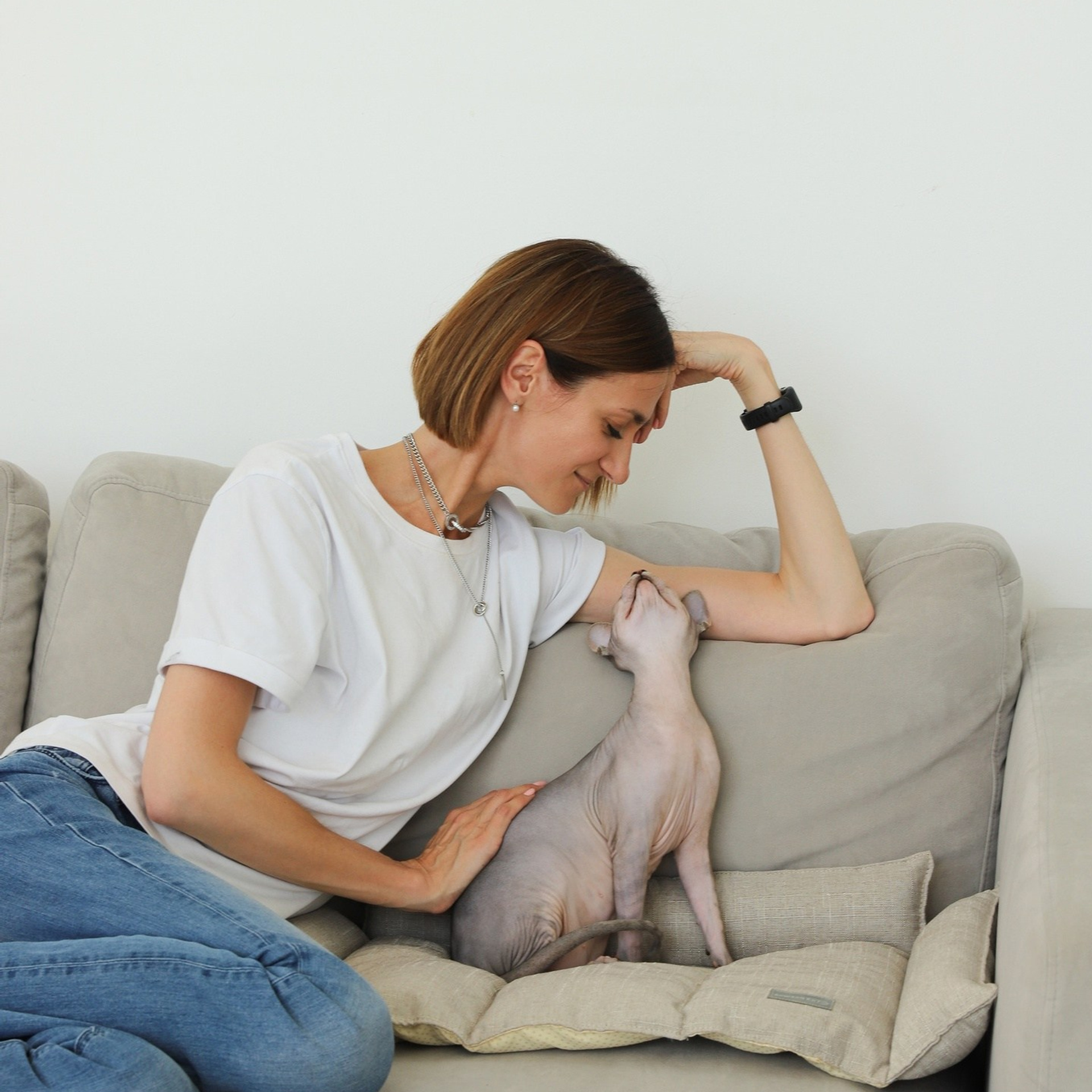 Лежак для кошек. ФОТОГРАФ ОКСАНА БРЭДШОУ