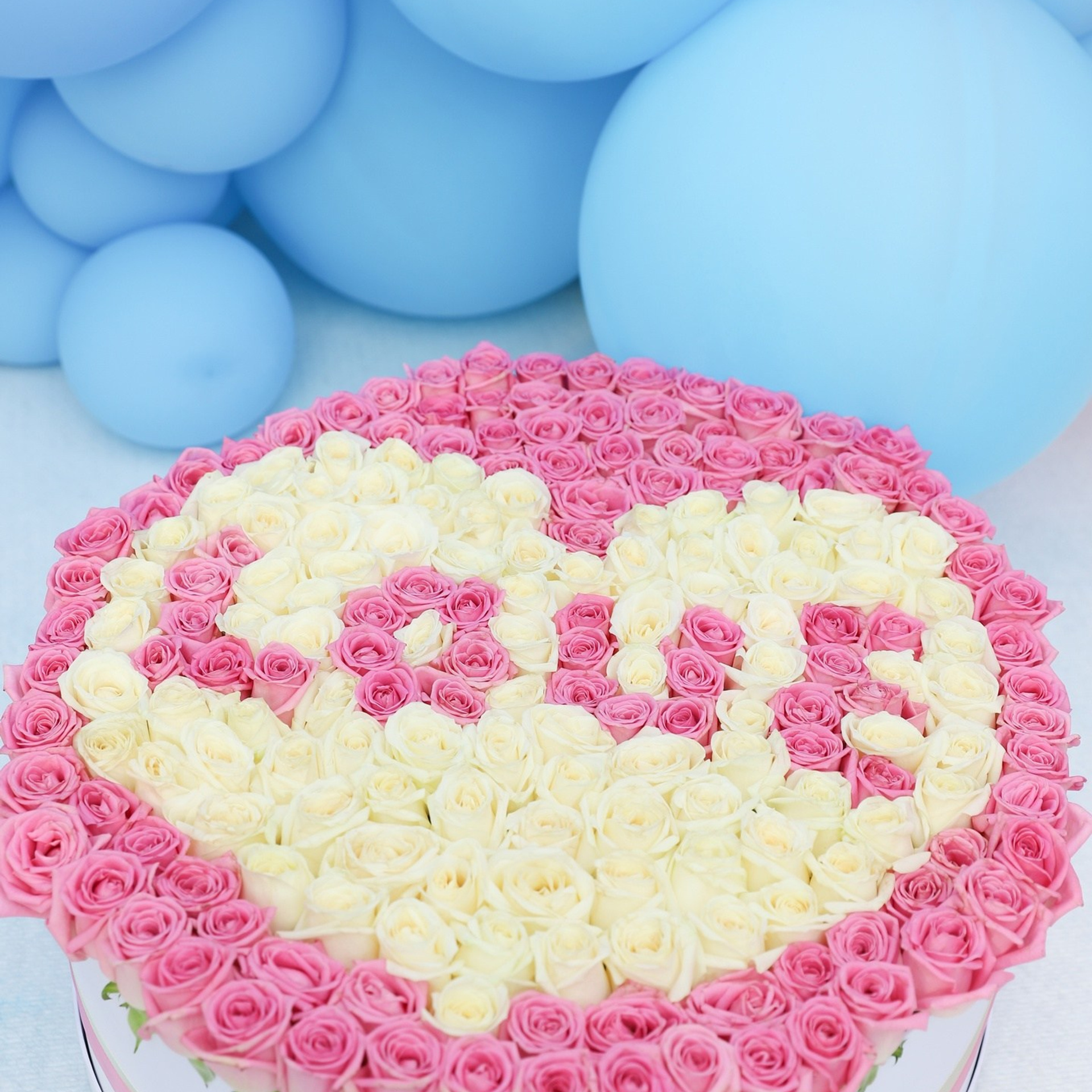 Дом 2: Юлия Ефременкова — Гендер пати в 2022 году. ФОТОГРАФ ОКСАНА БРЭДШОУ