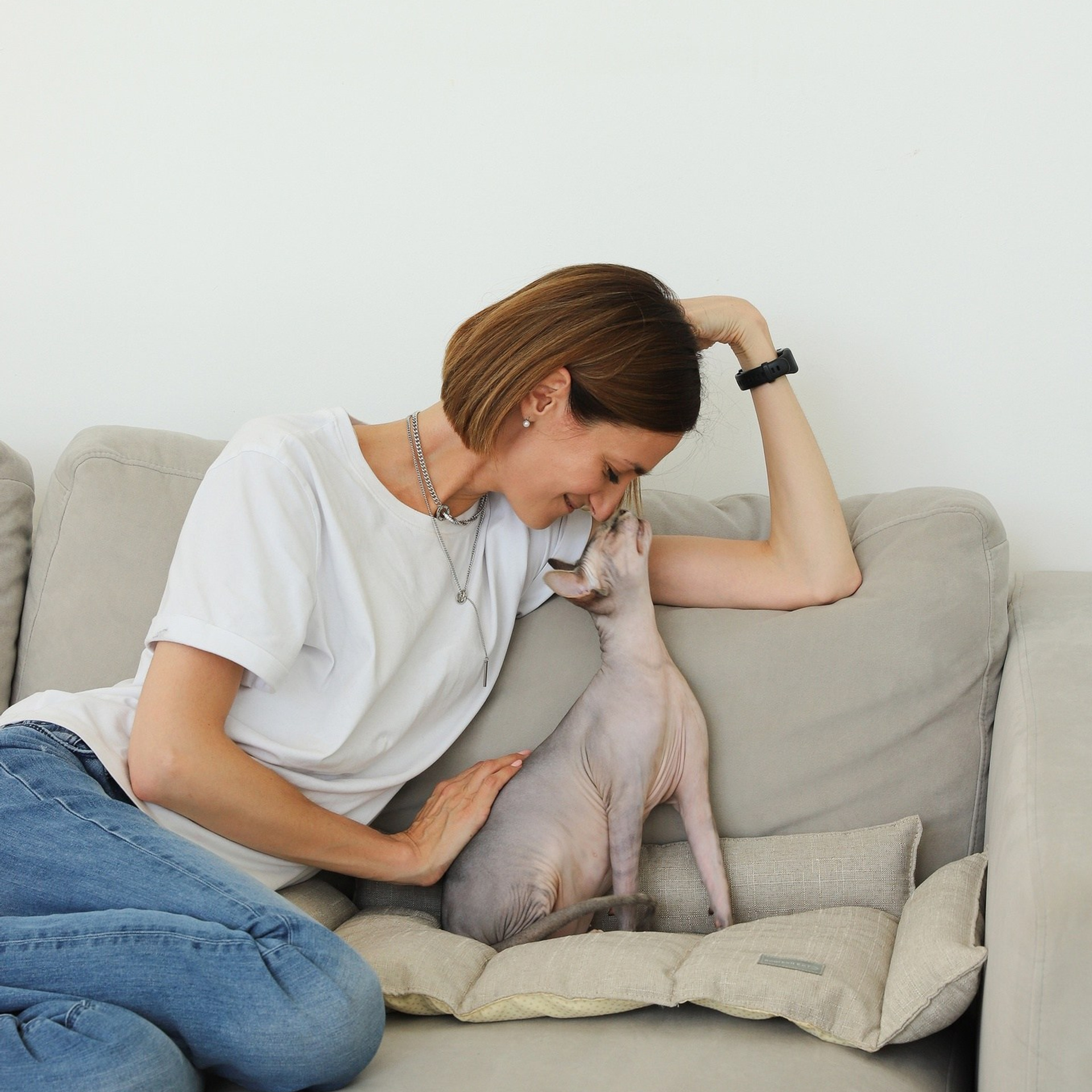 Лежак для кошек. ФОТОГРАФ ОКСАНА БРЭДШОУ