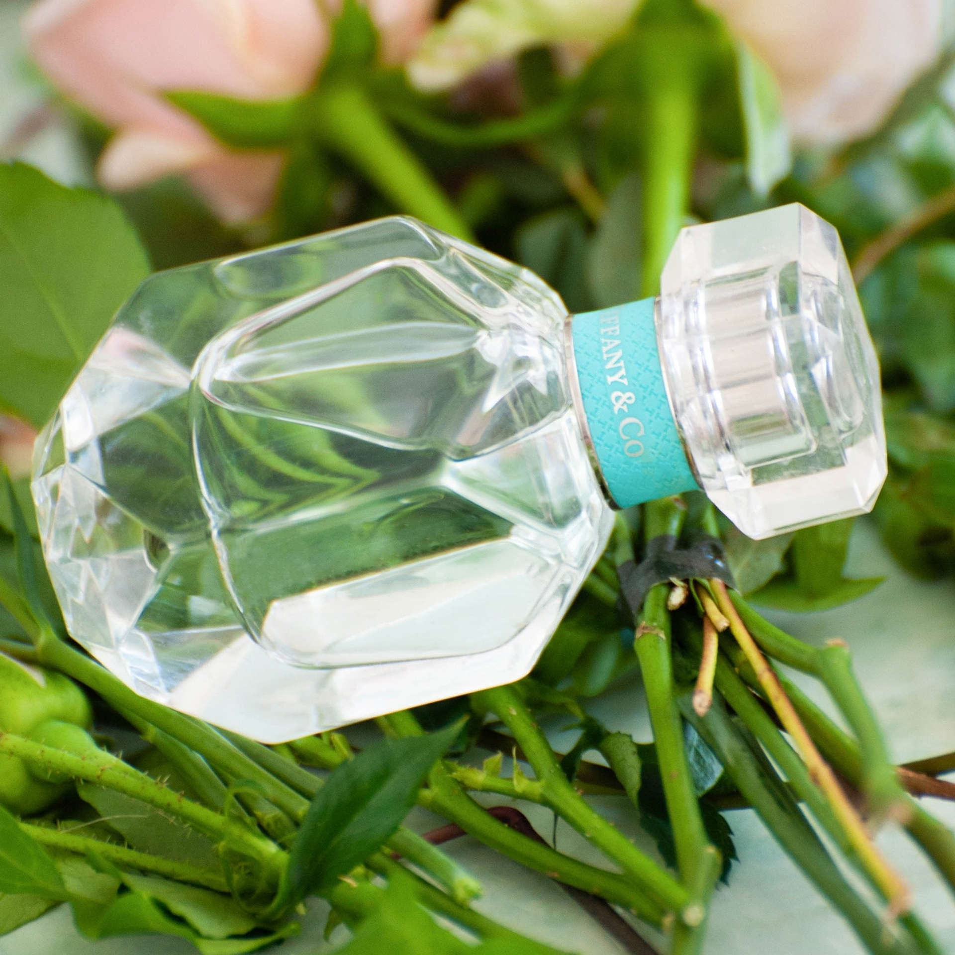 Юлия и Николай. ФОТОГРАФ ОКСАНА БРЭДШОУ