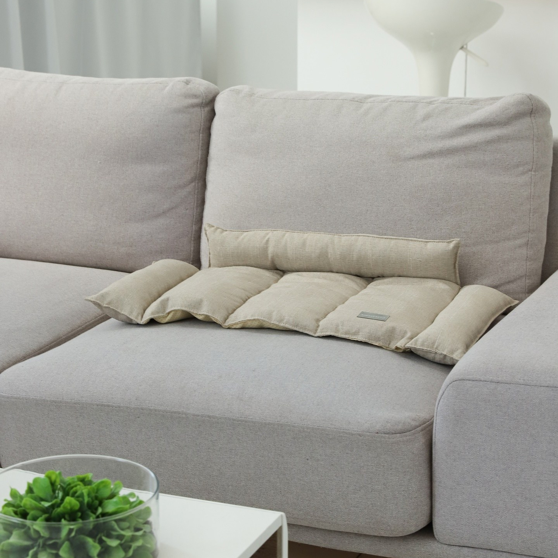 Лежак для кошек. ФОТОГРАФ ОКСАНА БРЭДШОУ