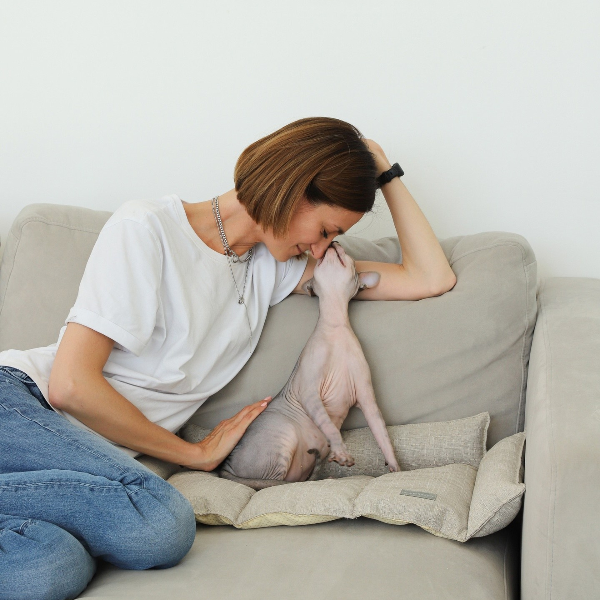 Лежак для кошек. ФОТОГРАФ ОКСАНА БРЭДШОУ