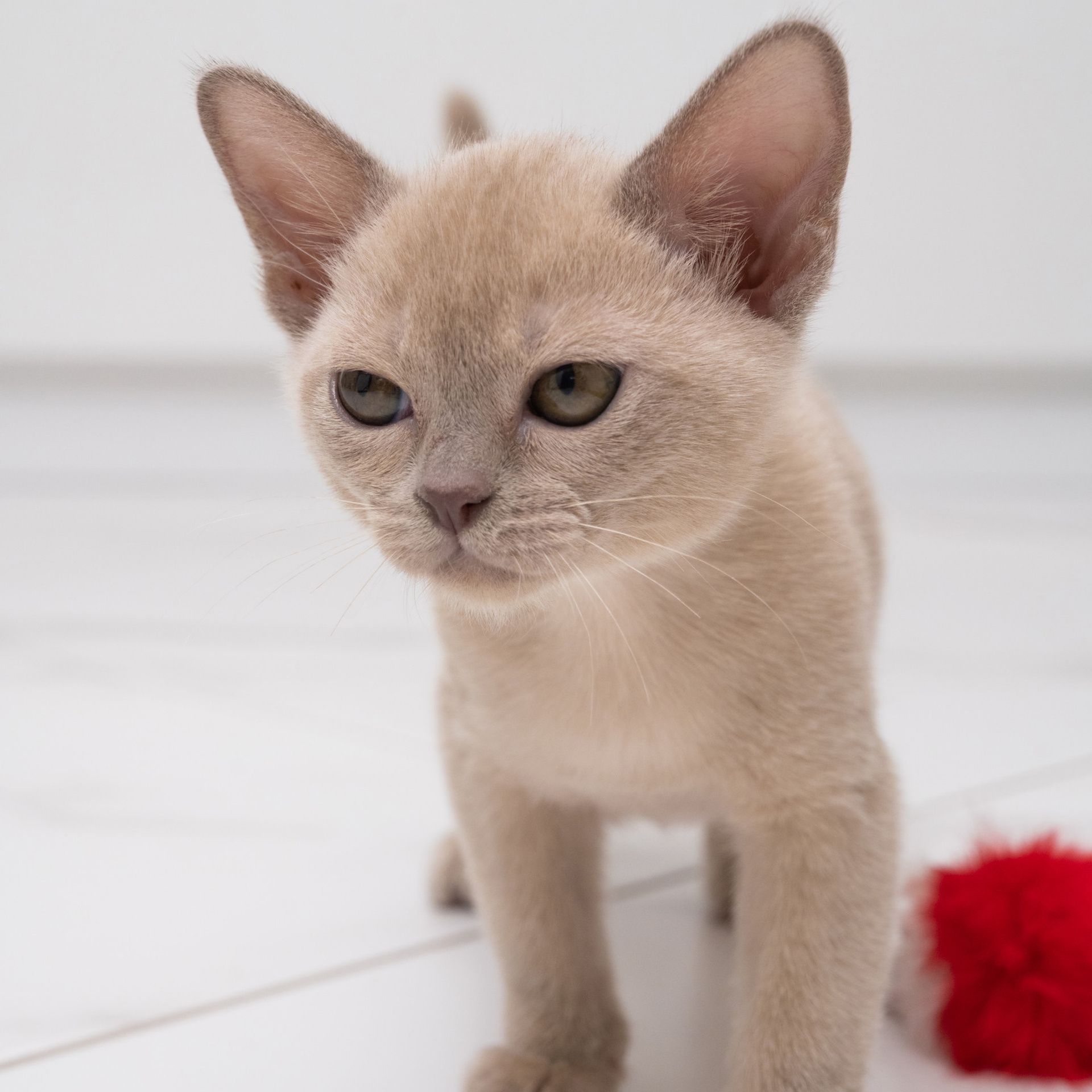 Отзывы. Фотограф Любовь Белявцева