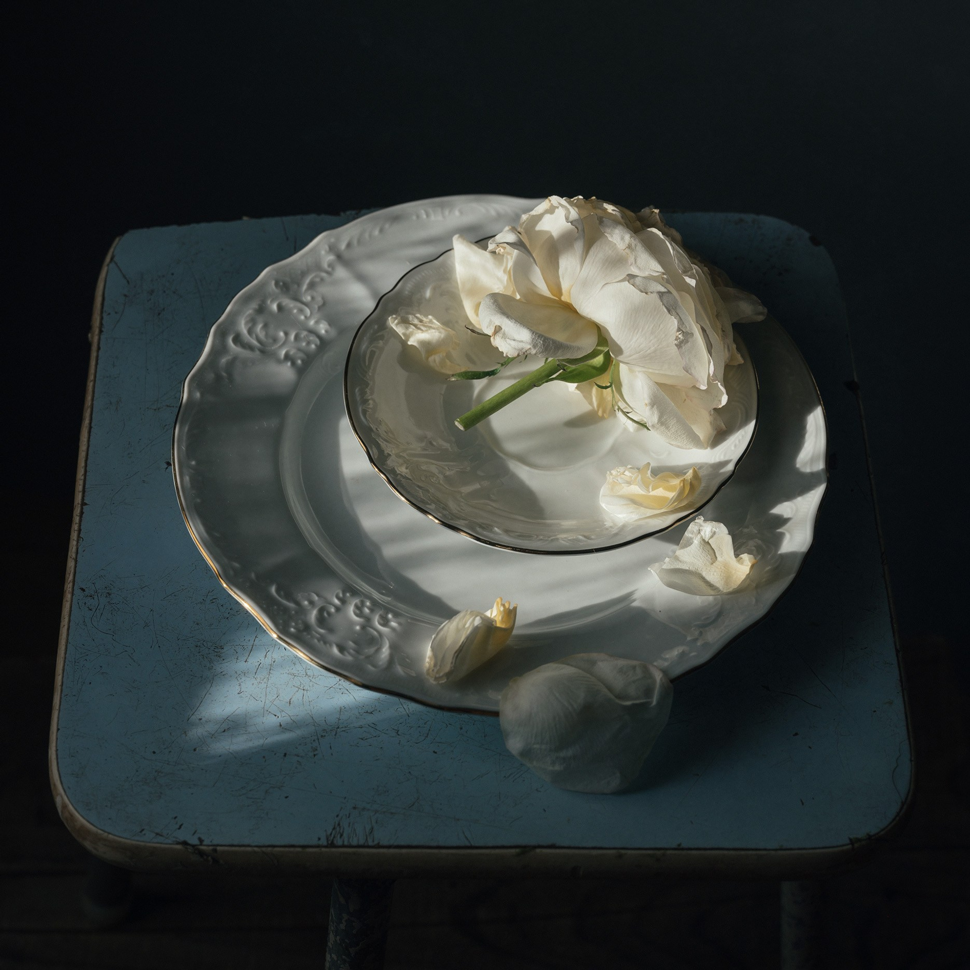 Март 24. Фотограф Елена Хазина, Рязань