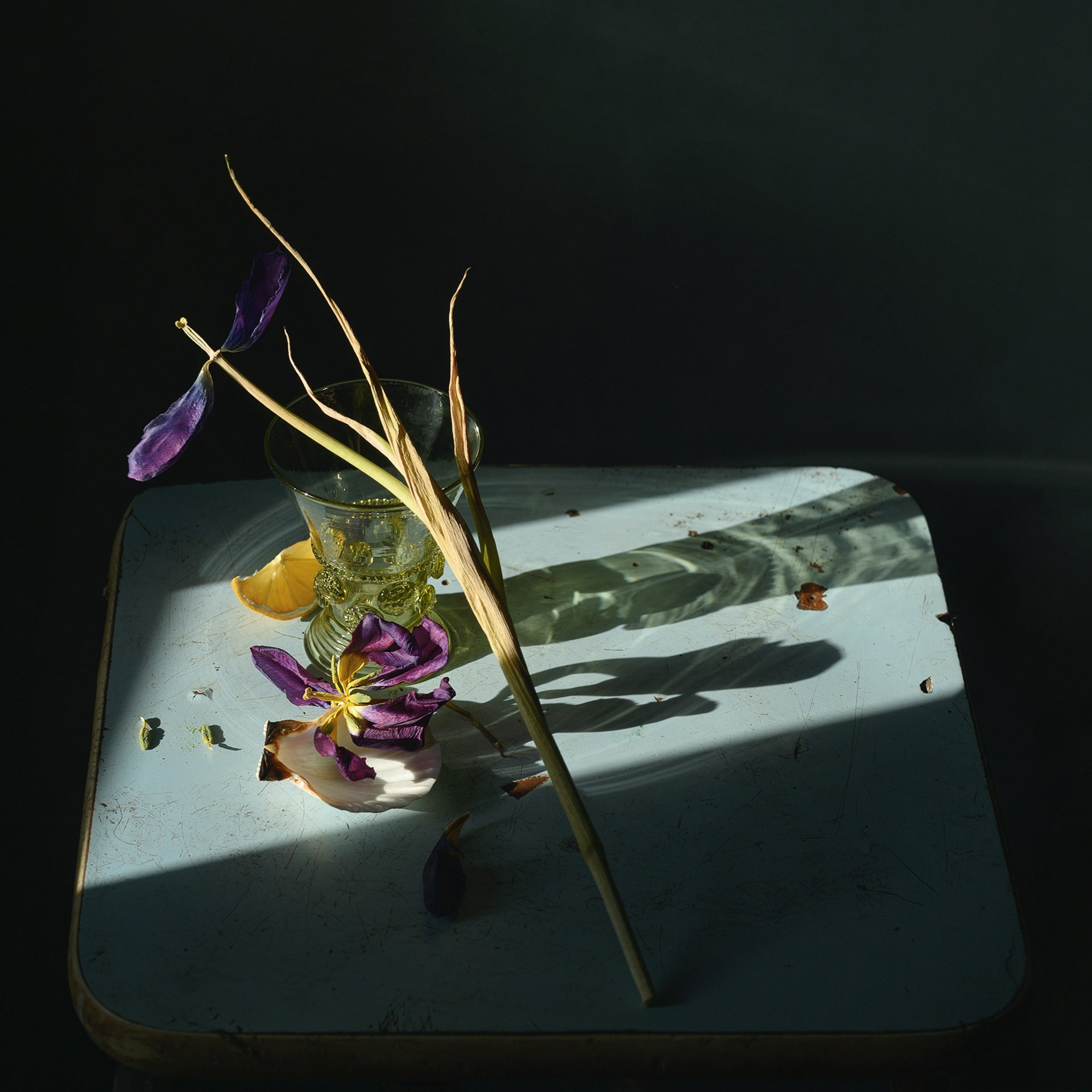 Март 24. Фотограф Елена Хазина, Рязань