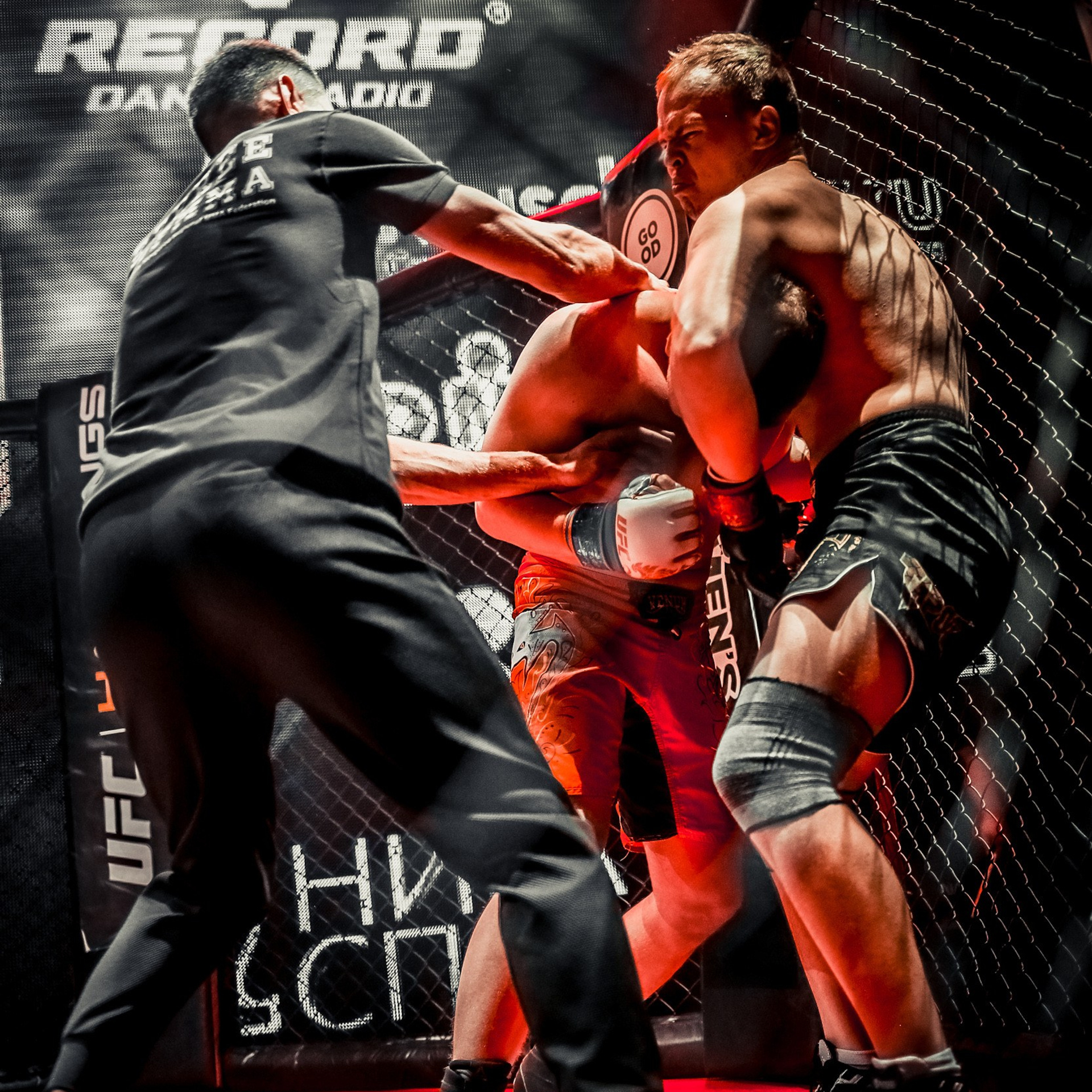 РЕПОРТАЖ ЕДИНОБОРСТВА