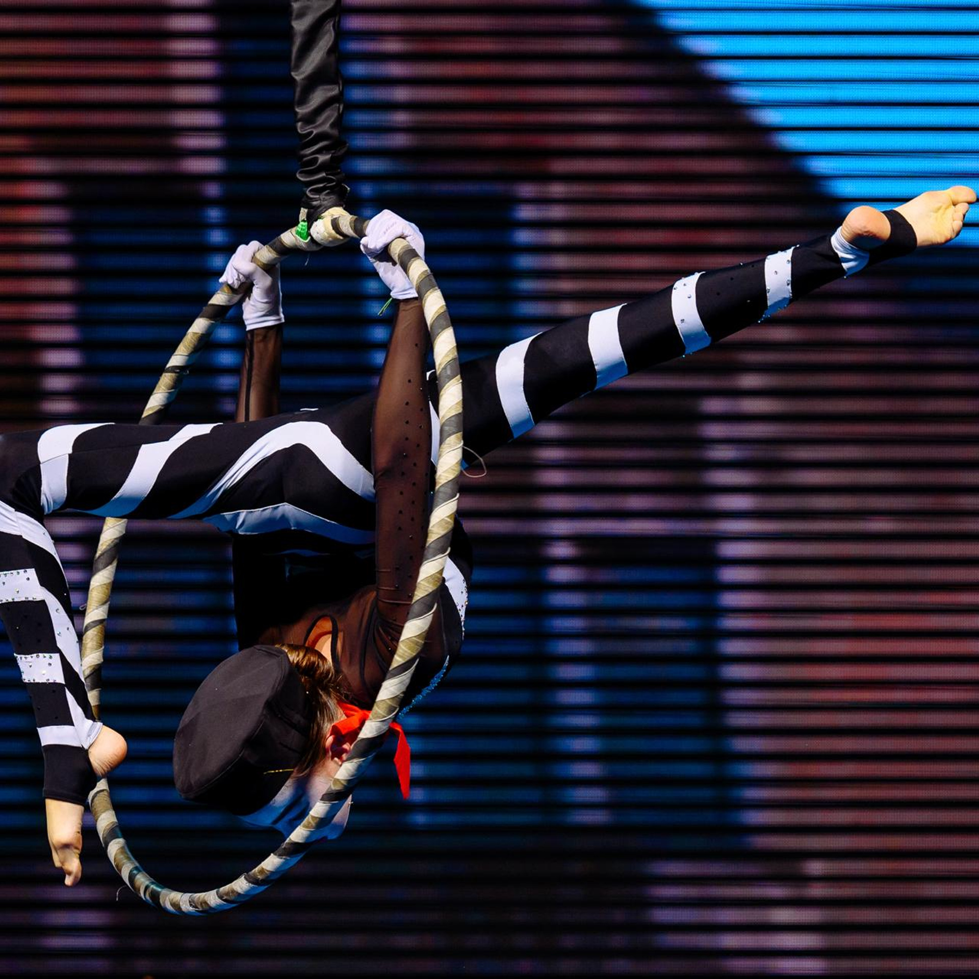 Феникс. Репортажный и свадебный фотограф в Курске Борис Захарчук