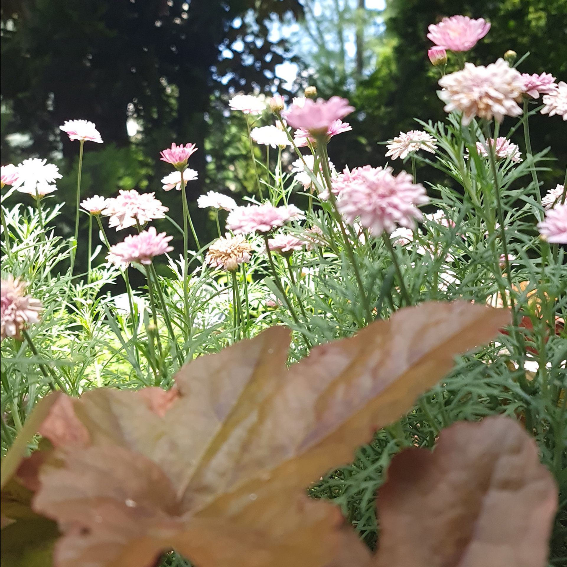 Отзывы. Психолог и лайфстайл фотограф Михина Татьяна