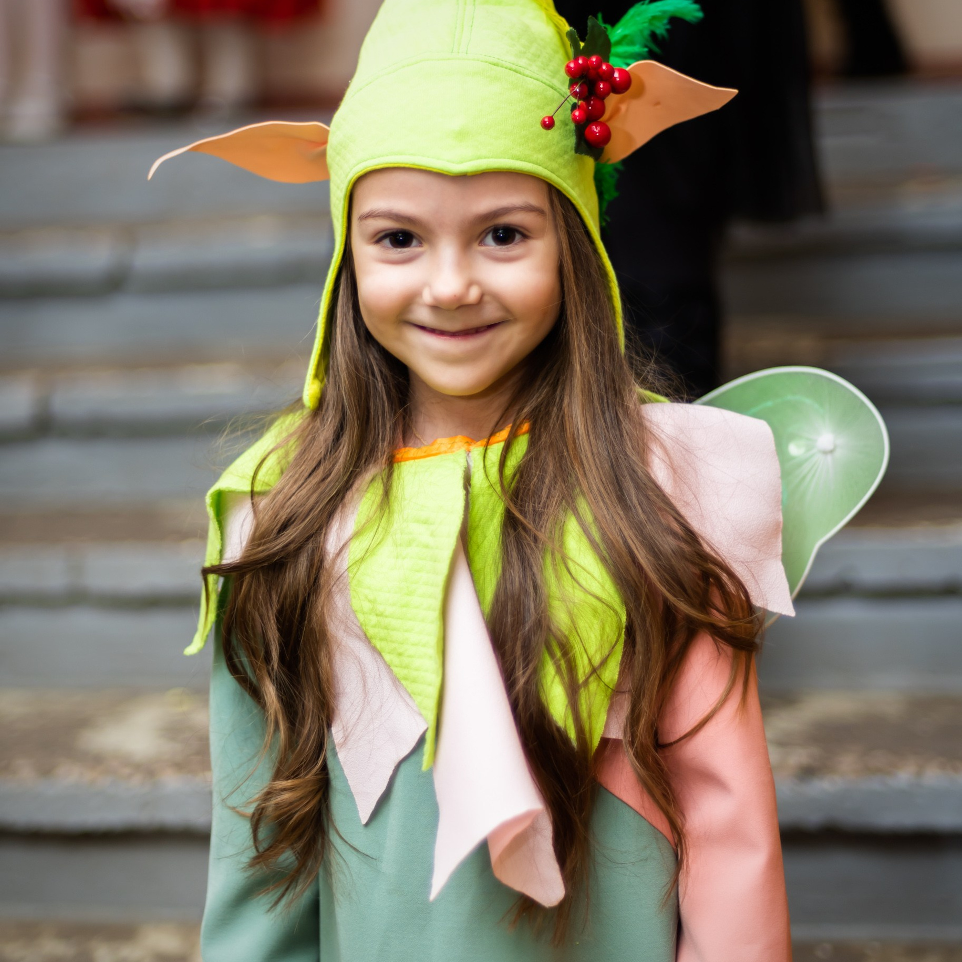 ДЕКАБРЬ 2018 (Новый Год). Взгляд через объектив