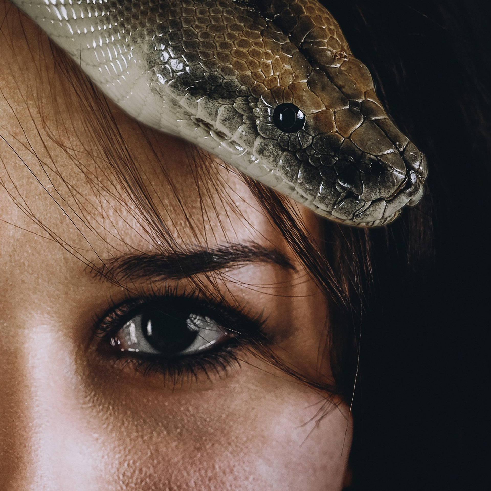 Фотосессии с&nbsp;животными