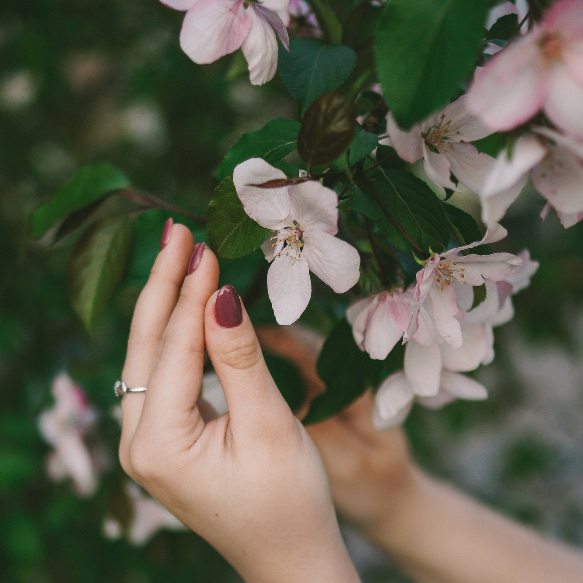 Индивидуальные. Maria Karzhak ваш фотограф в Батуми!