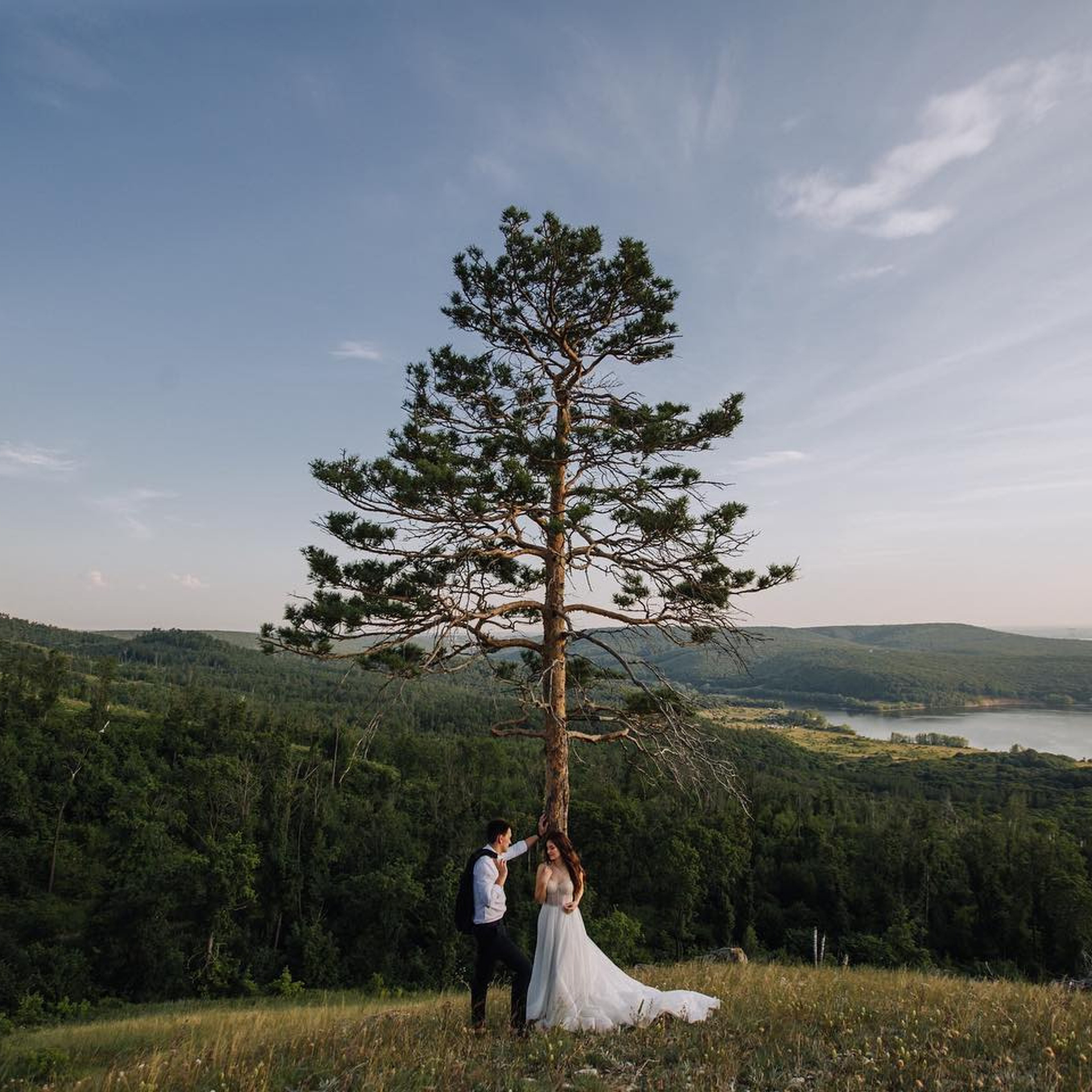 Wedding photographer