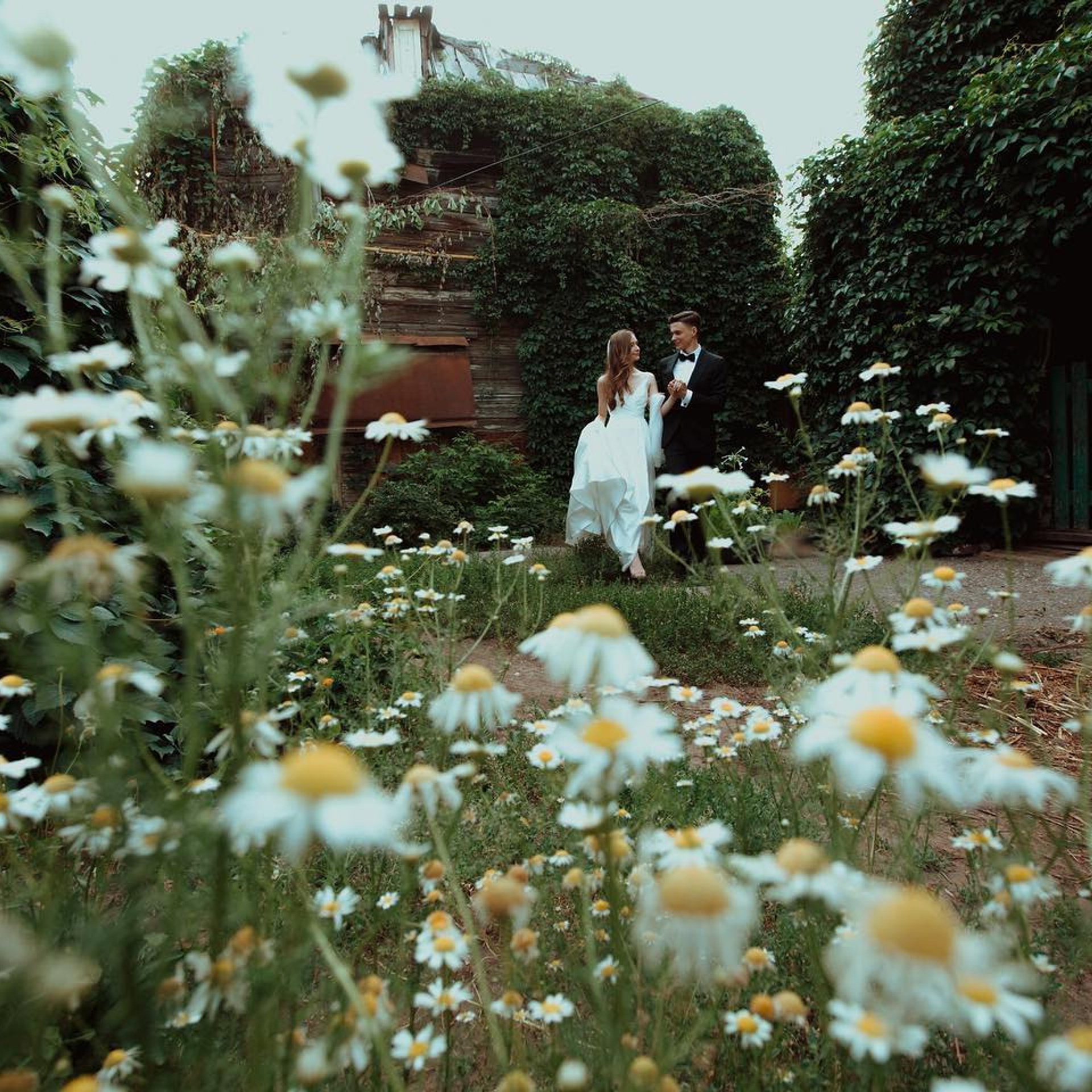 Wedding photographer