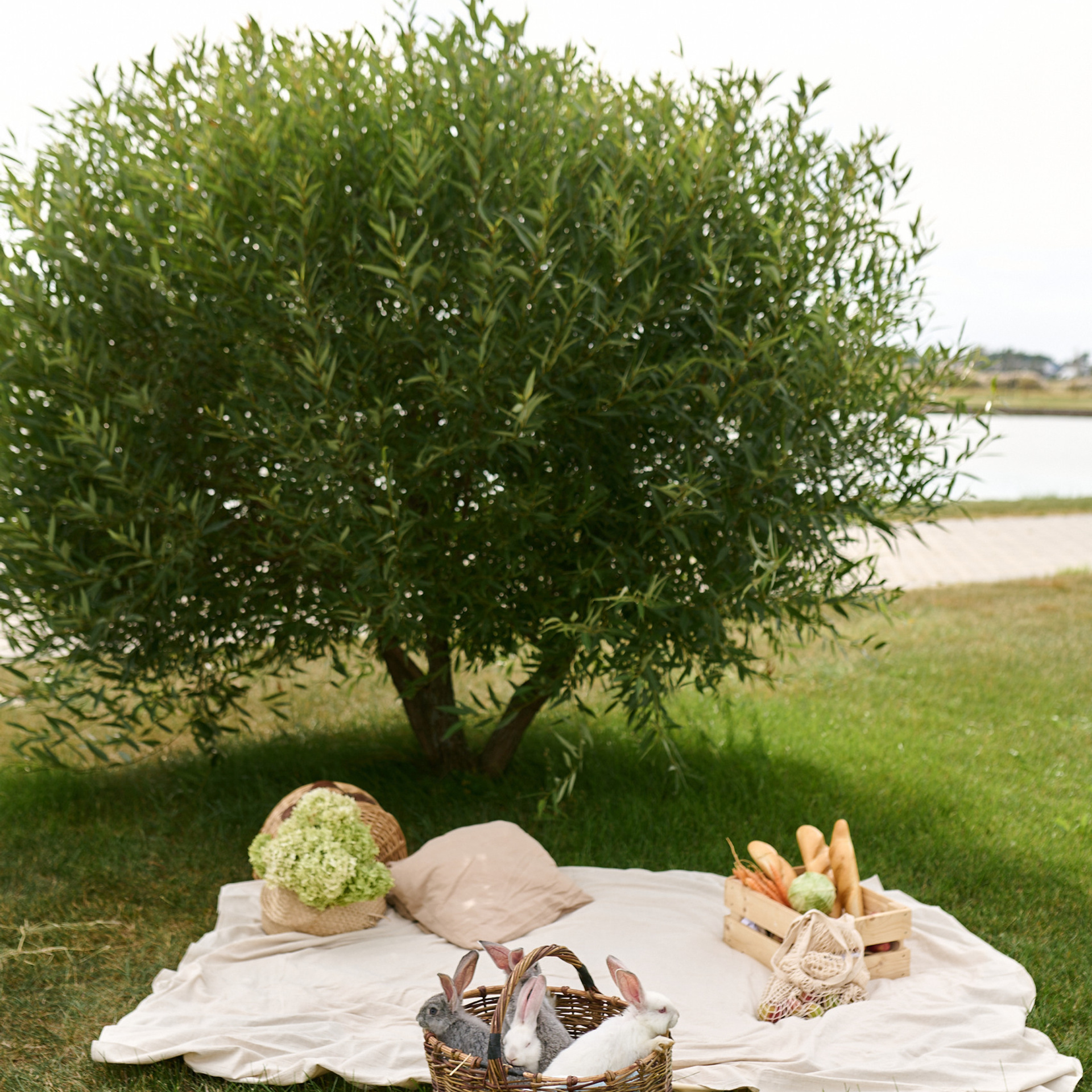 Отзывы. Семейный и свадебный фотограф в Сарове Дмитрий Власов