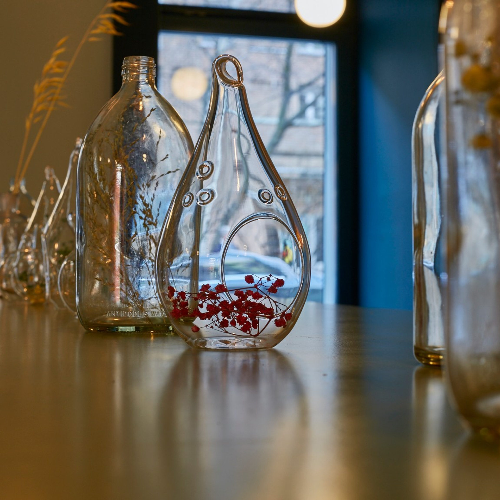 Вермутерия 2