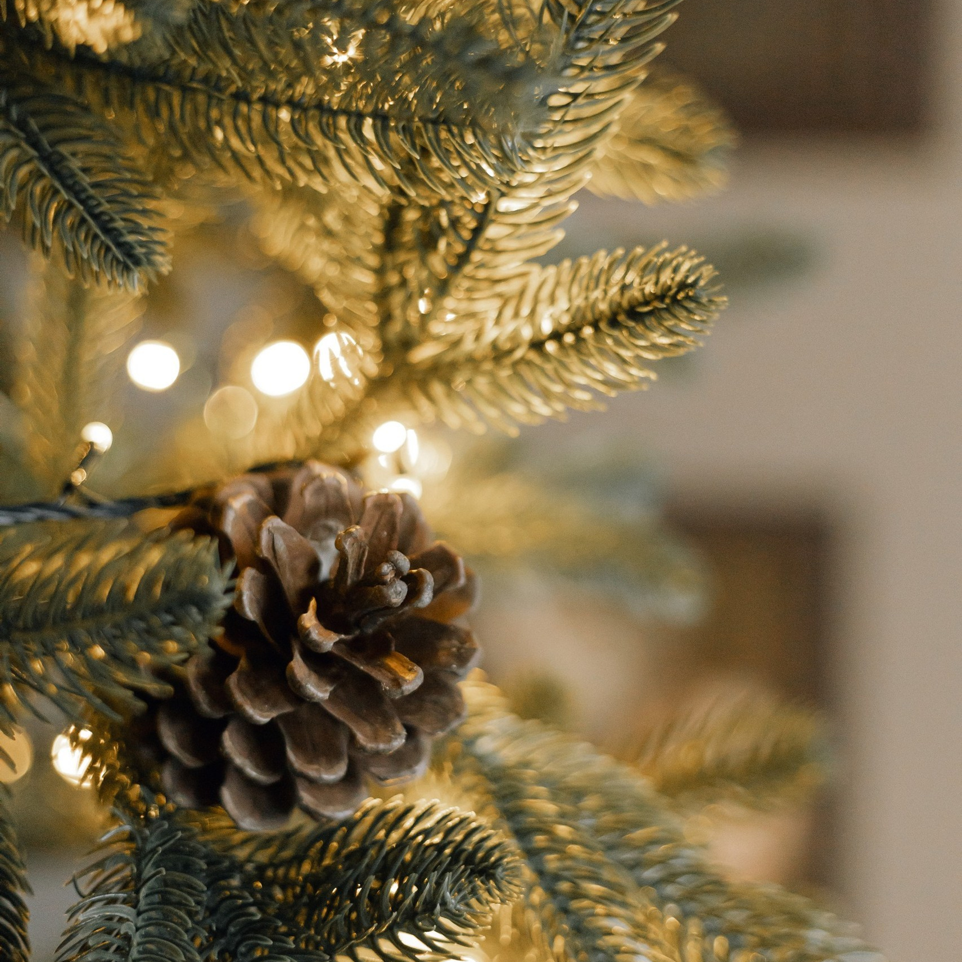 Прайс на новогодние фотосъемки. Свадебный и семейный фотограф Евгения Хомчановская