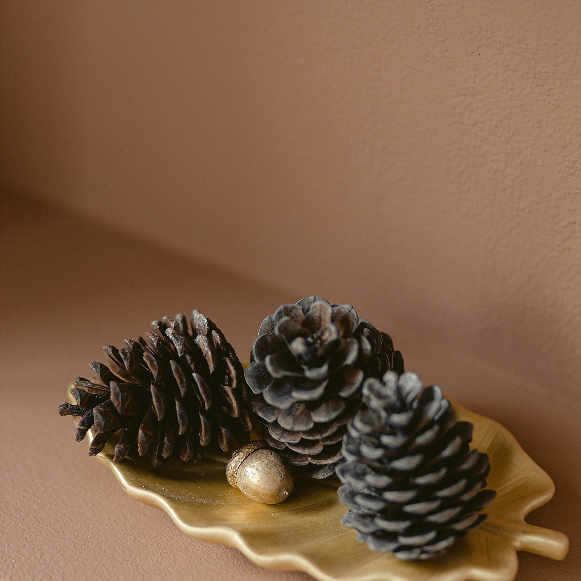 Прайс на новогодние фотосъемки. Свадебный и семейный фотограф Евгения Хомчановская