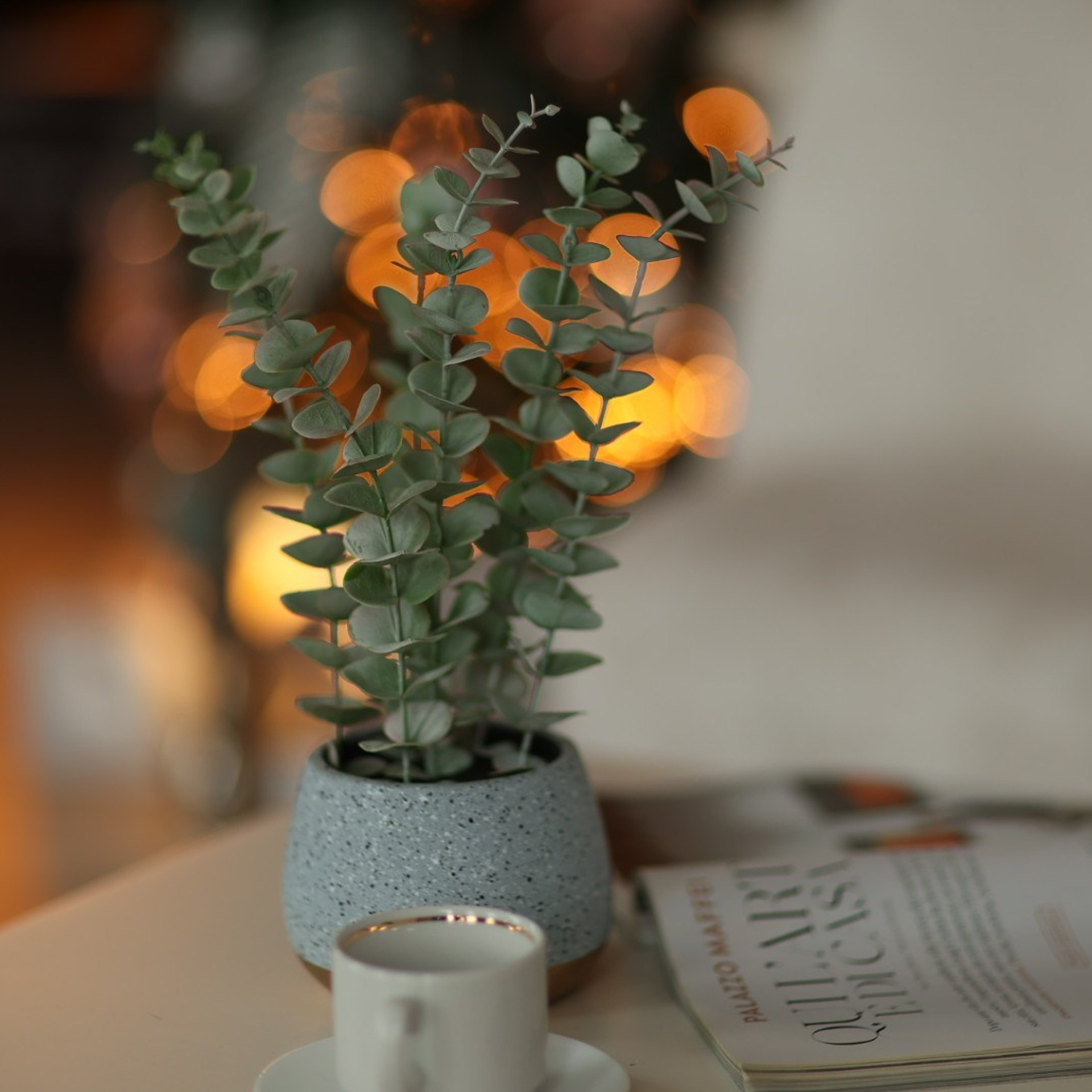 Прайс на новогодние фотосъемки. Свадебный и семейный фотограф Евгения Хомчановская