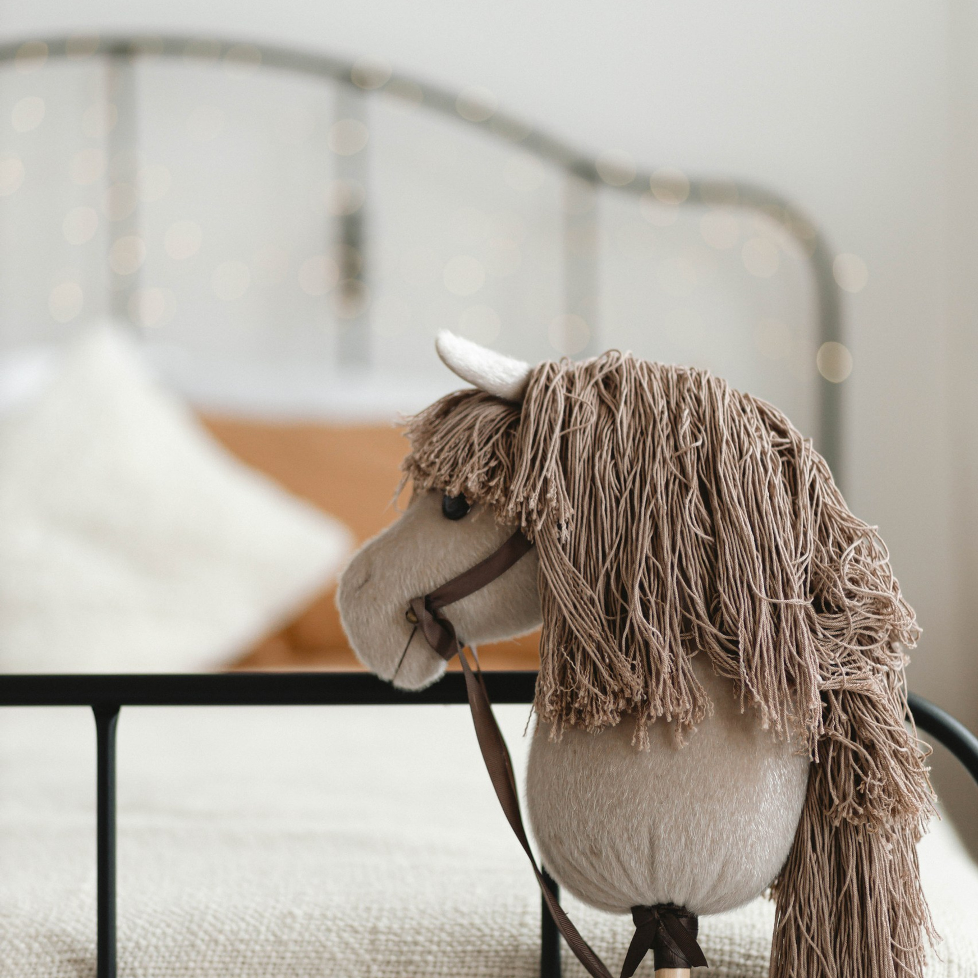 Прайс на новогодние фотосъемки. Свадебный и семейный фотограф Евгения Хомчановская